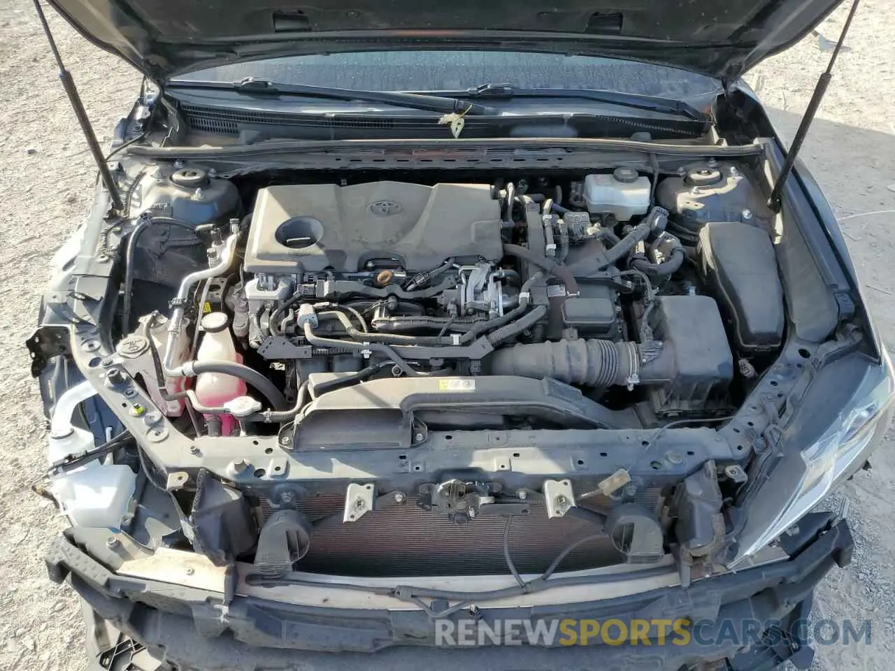 11 fotografías del automóvil dañado 4T1B21HK8KU012841 TOYOTA CAMRY 2019