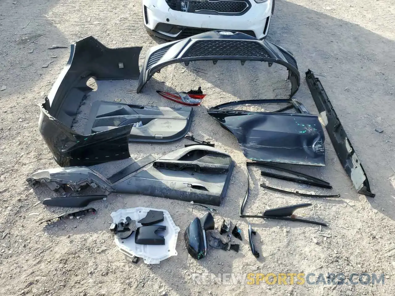 12 fotografías del automóvil dañado 4T1B21HK8KU012841 TOYOTA CAMRY 2019