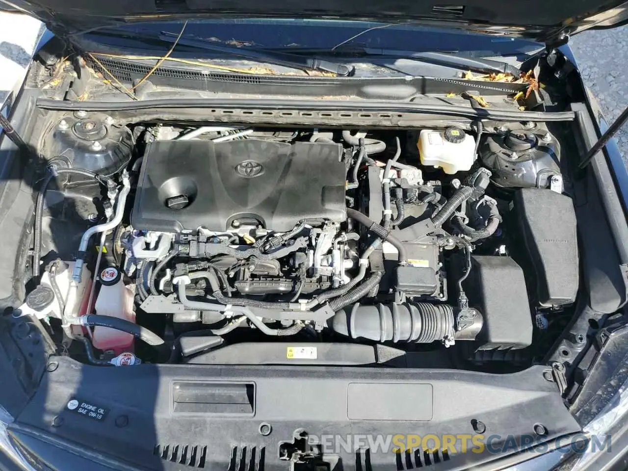 11 fotografías del automóvil dañado 4T1B21HK8KU521392 TOYOTA CAMRY 2019