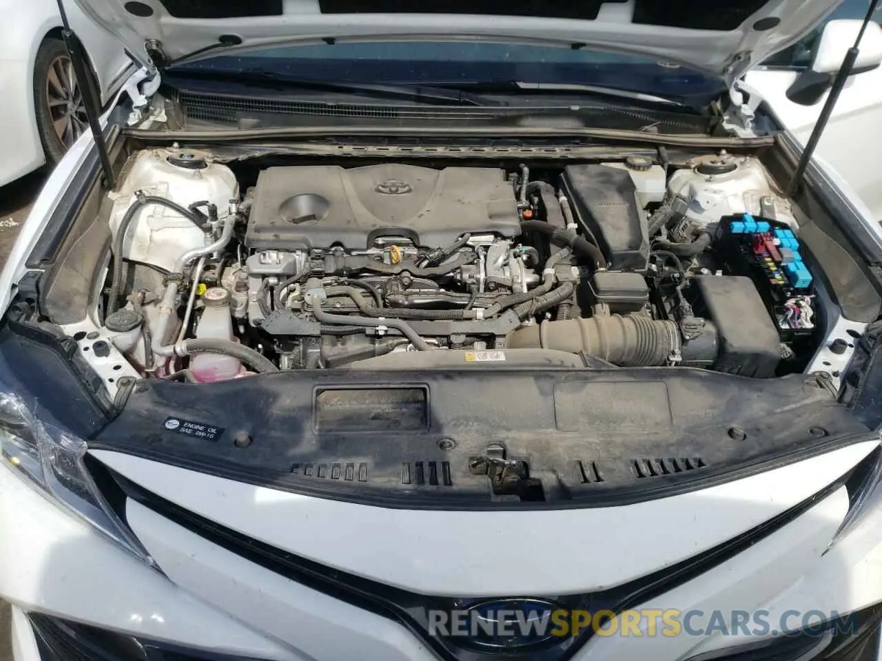 7 fotografías del automóvil dañado 4T1B31HK0KU004889 TOYOTA CAMRY 2019