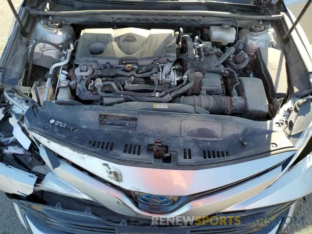 13 fotografías del automóvil dañado 4T1B31HK0KU516250 TOYOTA CAMRY 2019