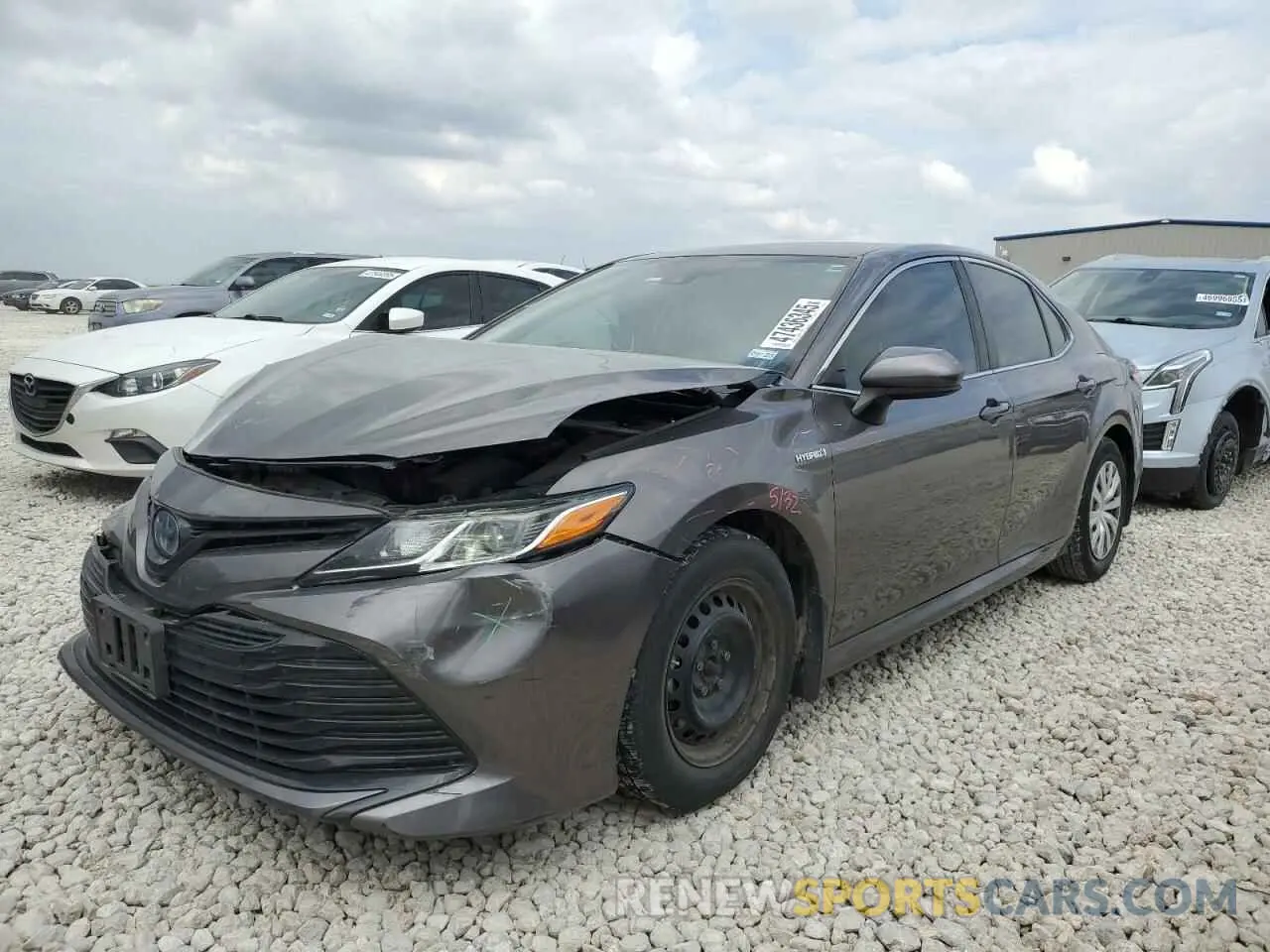 1 fotografías del automóvil dañado 4T1B31HK0KU517947 TOYOTA CAMRY 2019