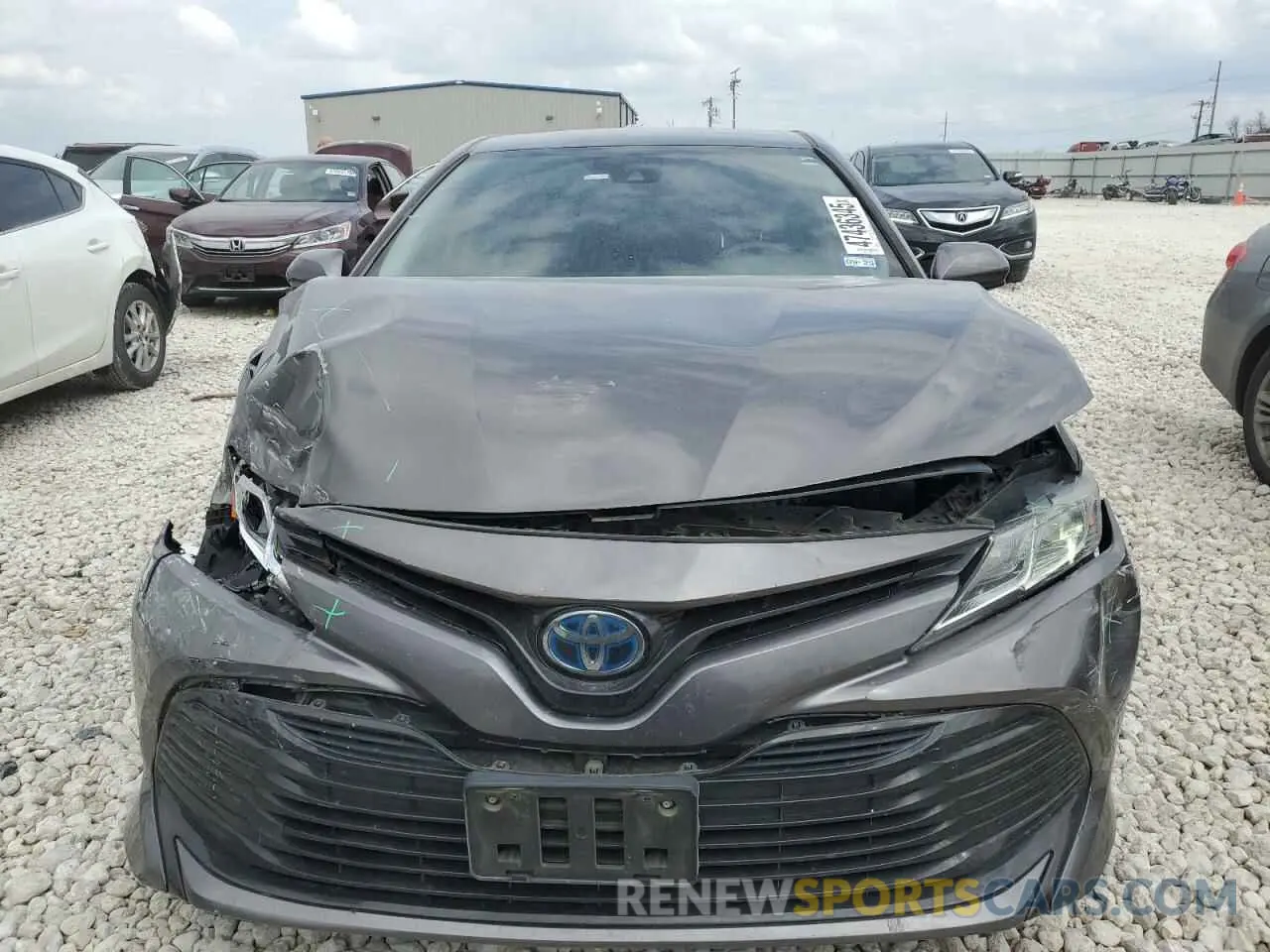 5 fotografías del automóvil dañado 4T1B31HK0KU517947 TOYOTA CAMRY 2019