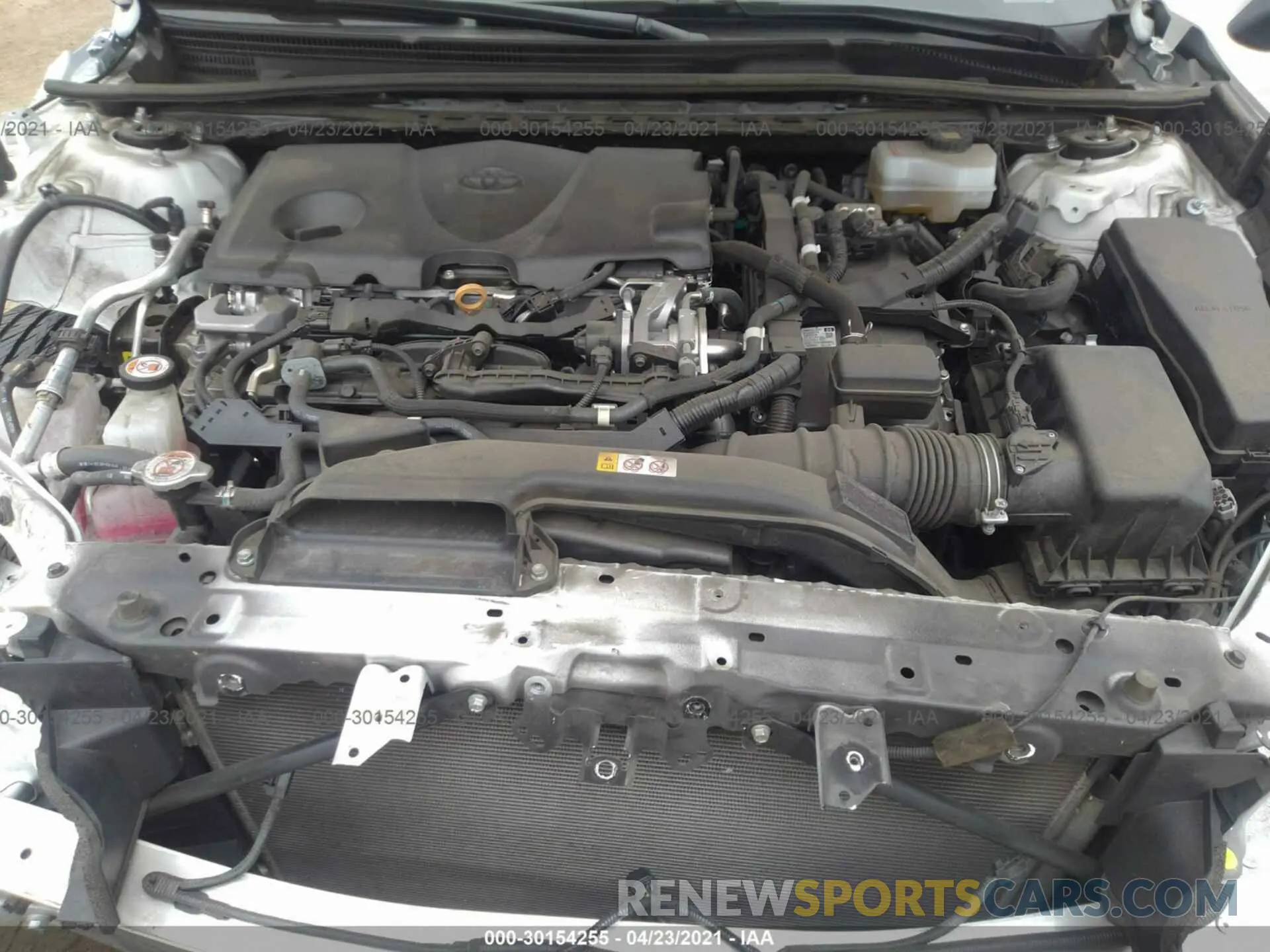 10 fotografías del automóvil dañado 4T1B31HK1KU509534 TOYOTA CAMRY 2019