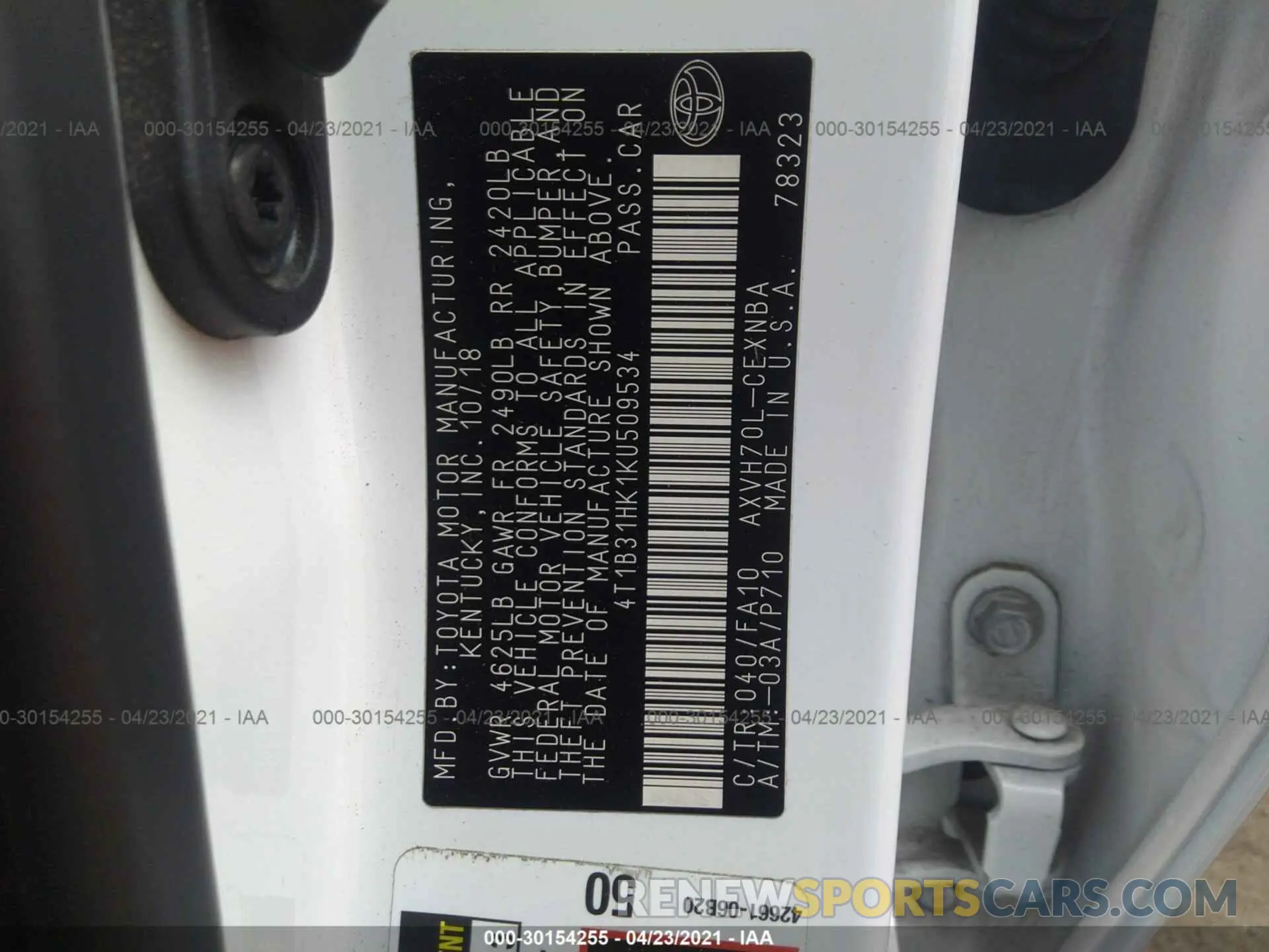 9 fotografías del automóvil dañado 4T1B31HK1KU509534 TOYOTA CAMRY 2019