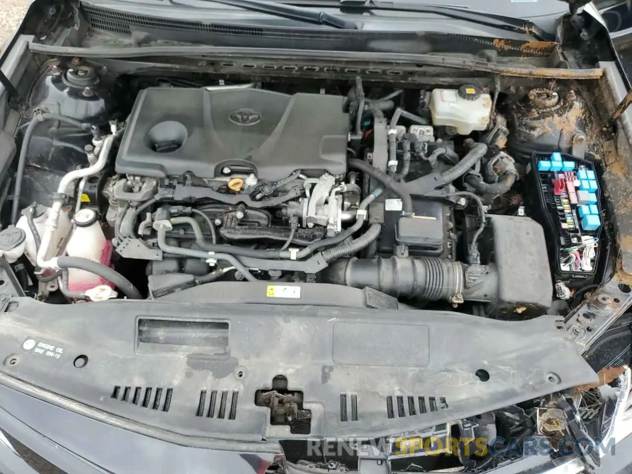11 fotografías del automóvil dañado 4T1B31HK1KU512465 TOYOTA CAMRY 2019