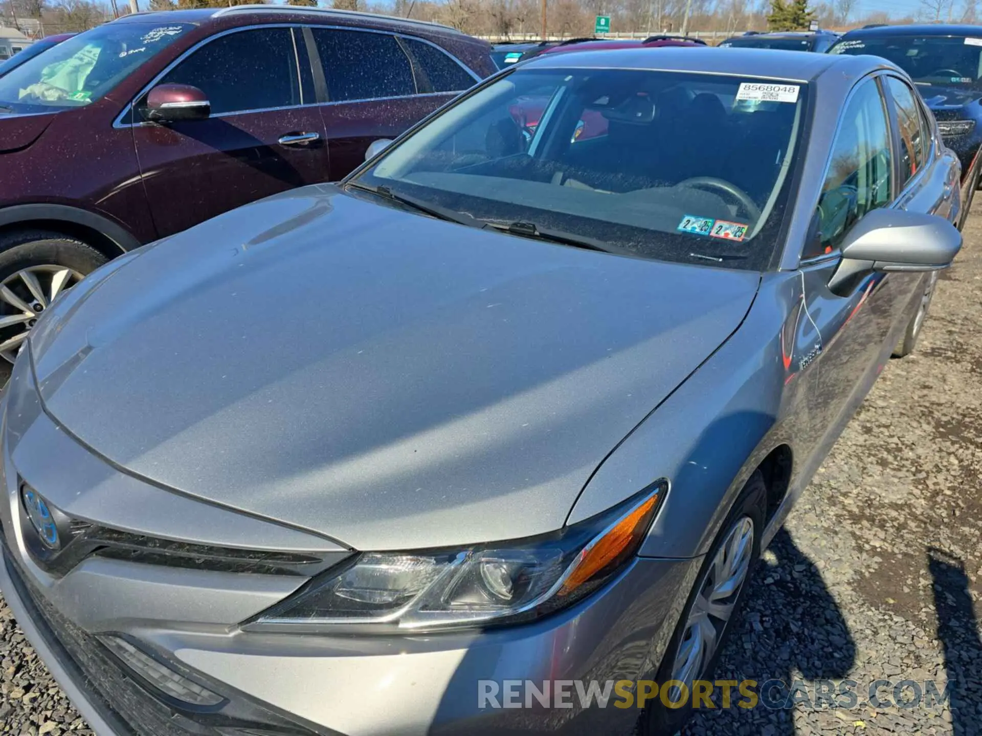 11 fotografías del automóvil dañado 4T1B31HK2KU509977 TOYOTA CAMRY 2019