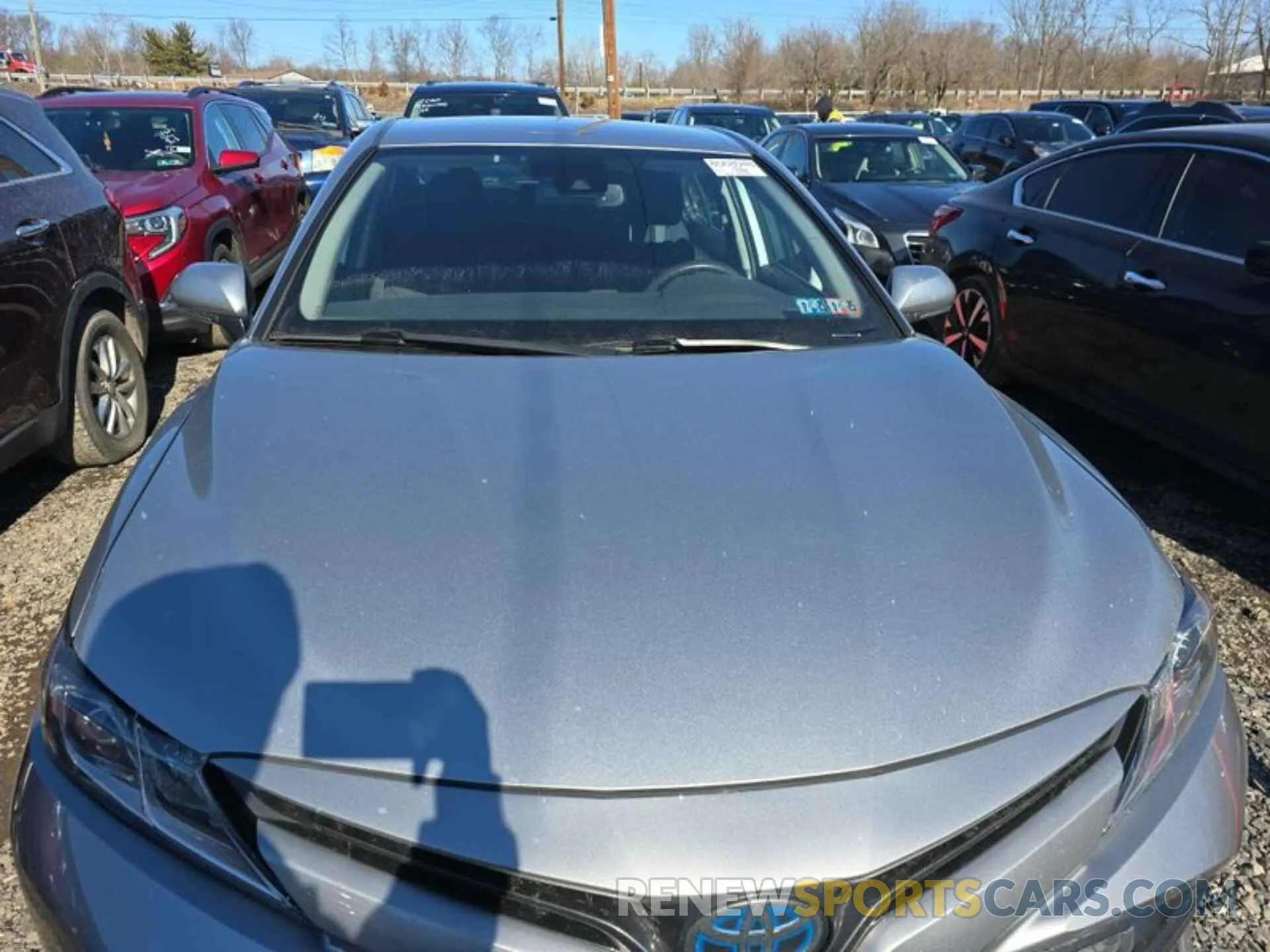 2 fotografías del automóvil dañado 4T1B31HK2KU509977 TOYOTA CAMRY 2019