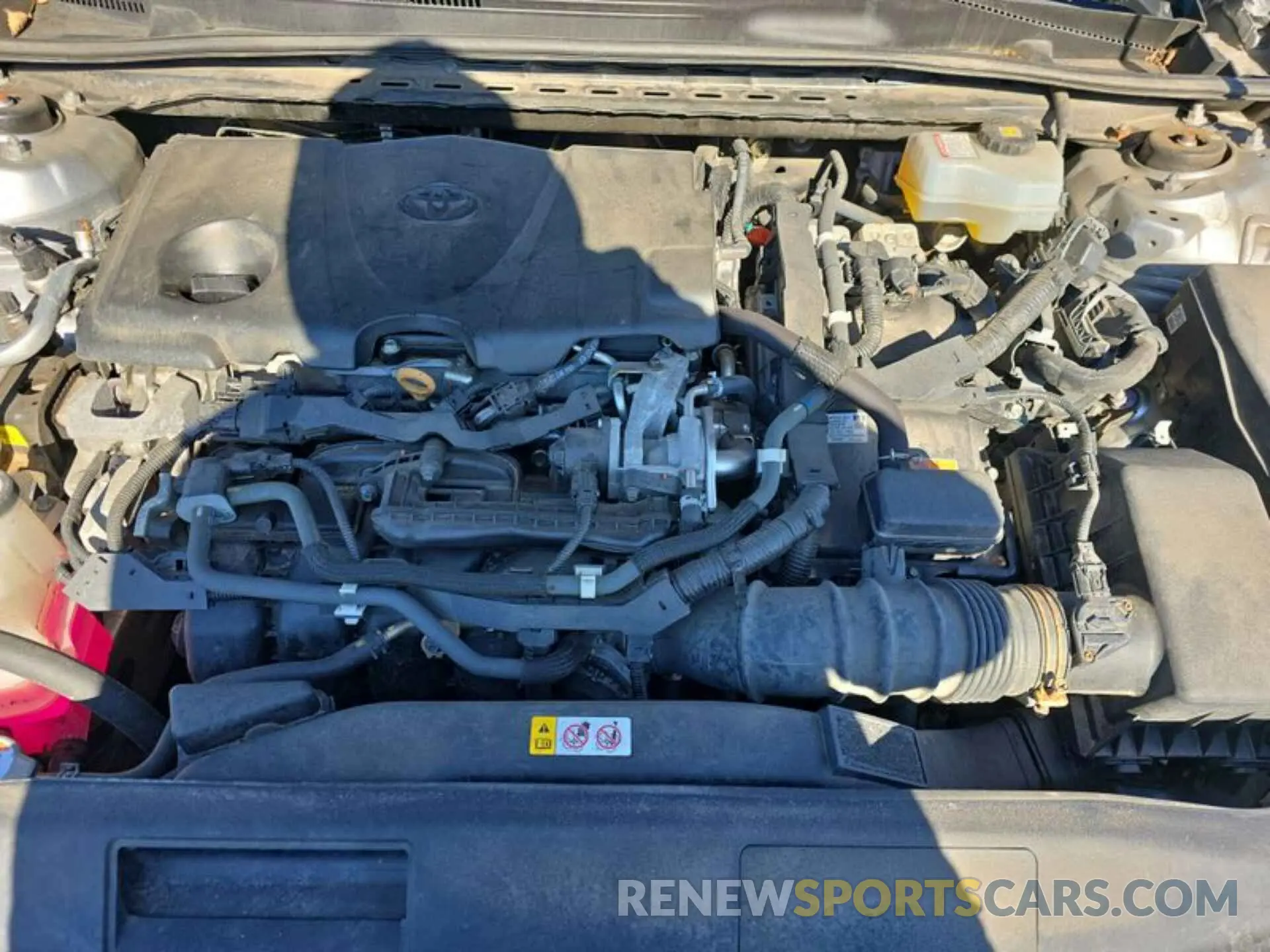20 fotografías del automóvil dañado 4T1B31HK2KU509977 TOYOTA CAMRY 2019