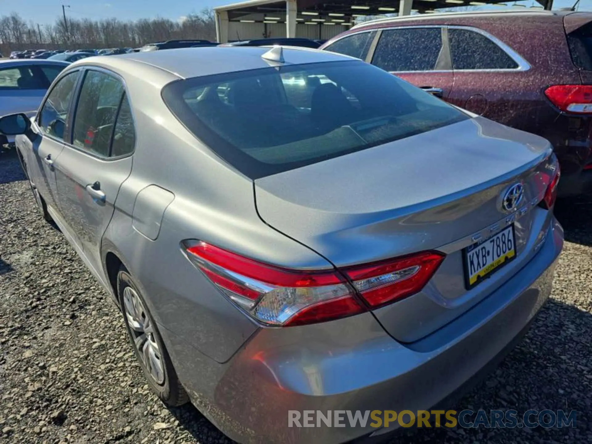 4 fotografías del automóvil dañado 4T1B31HK2KU509977 TOYOTA CAMRY 2019