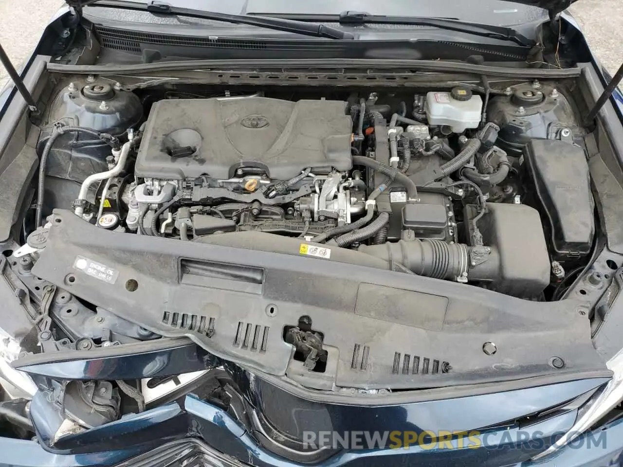 13 fotografías del automóvil dañado 4T1B31HK2KU514158 TOYOTA CAMRY 2019