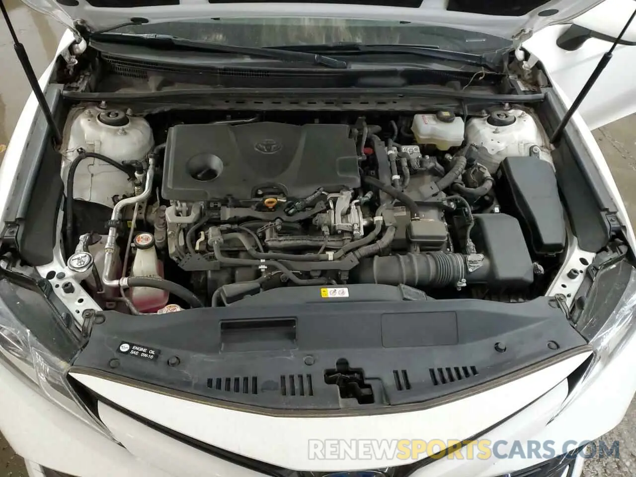 11 fotografías del automóvil dañado 4T1B31HK3KU004904 TOYOTA CAMRY 2019