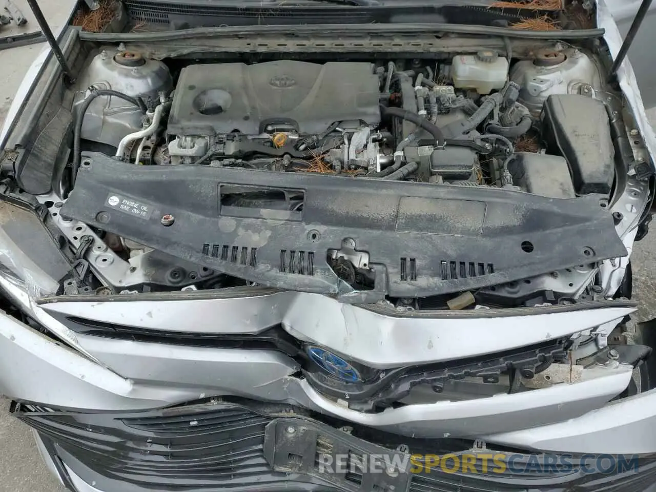 11 fotografías del automóvil dañado 4T1B31HK3KU509485 TOYOTA CAMRY 2019