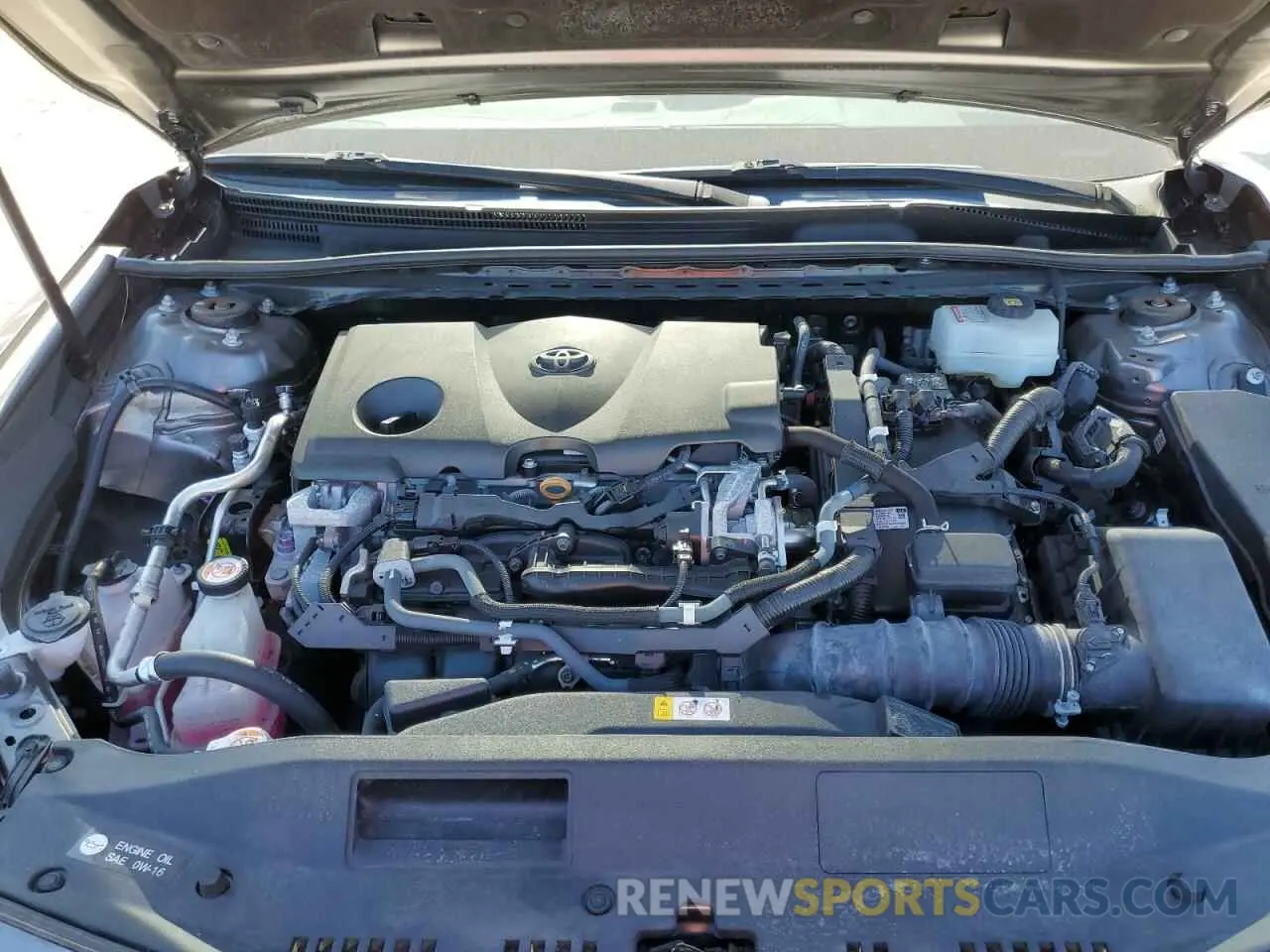 11 fotografías del automóvil dañado 4T1B31HK3KU512077 TOYOTA CAMRY 2019