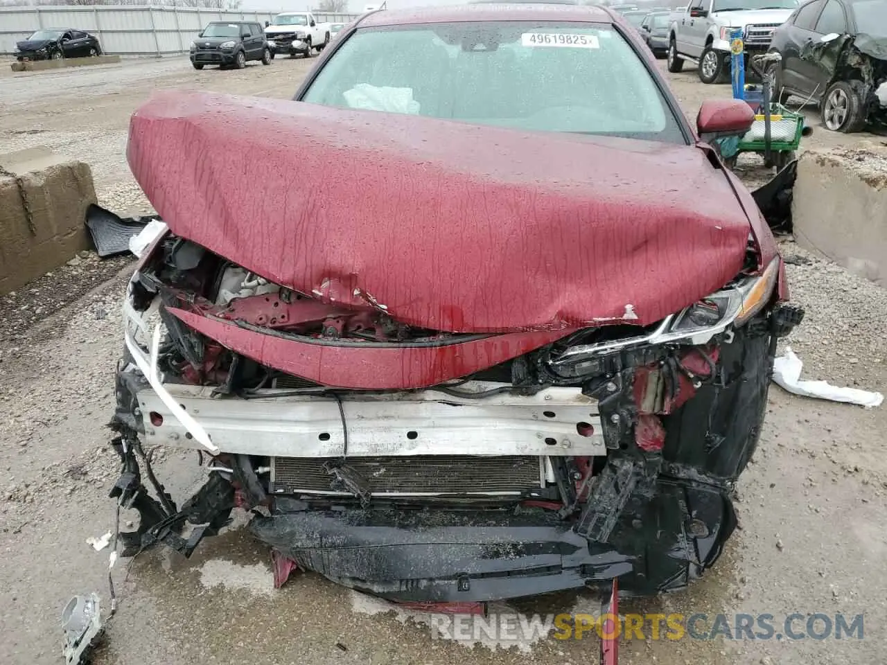 13 fotografías del automóvil dañado 4T1B31HK3KU512824 TOYOTA CAMRY 2019