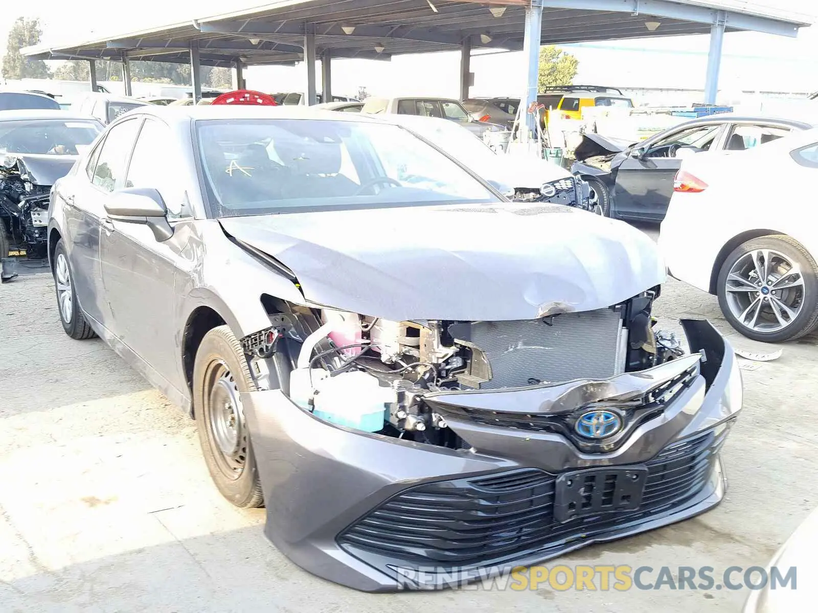 1 fotografías del automóvil dañado 4T1B31HK4KU006970 TOYOTA CAMRY 2019