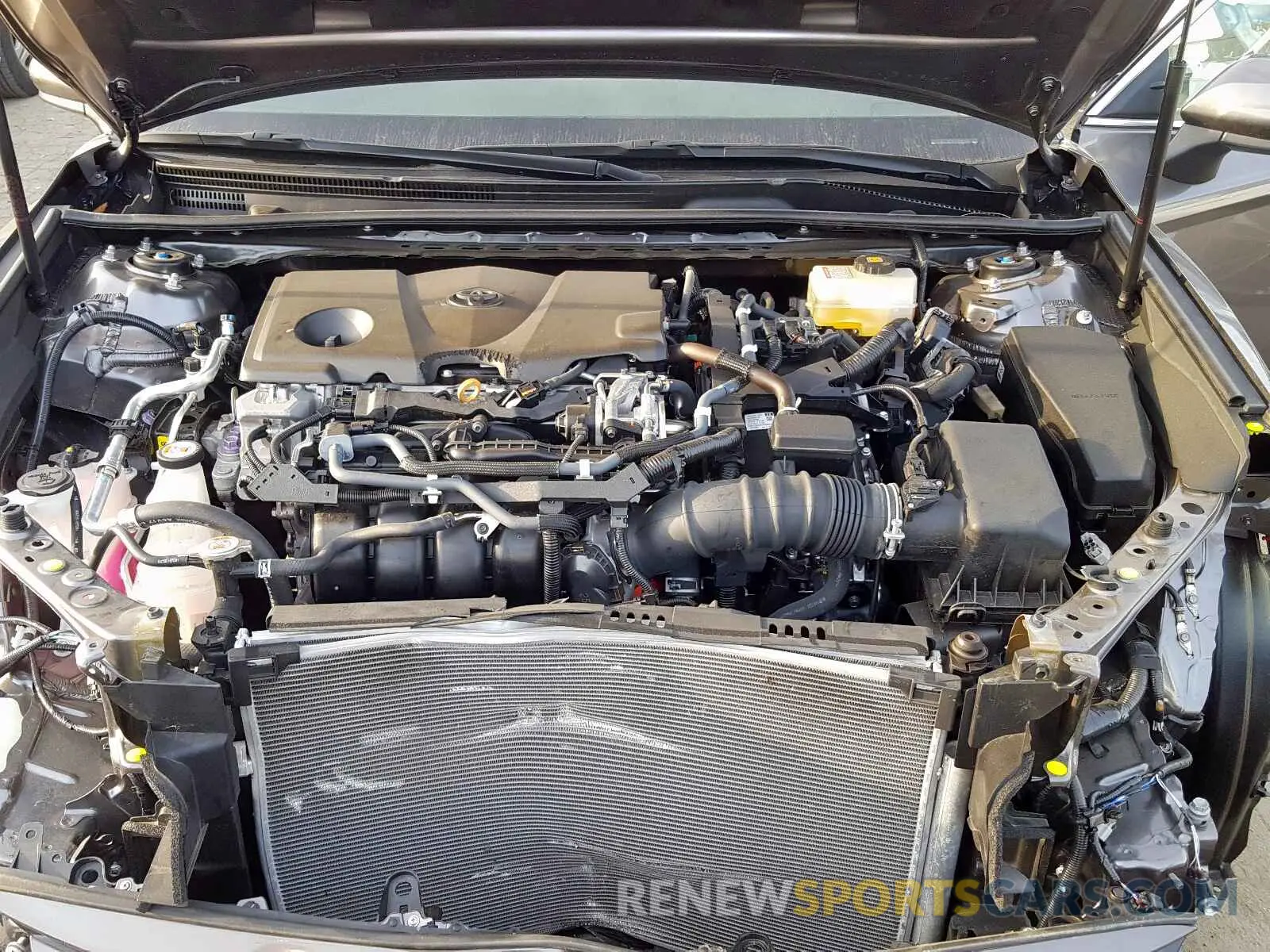 7 fotografías del automóvil dañado 4T1B31HK4KU006970 TOYOTA CAMRY 2019
