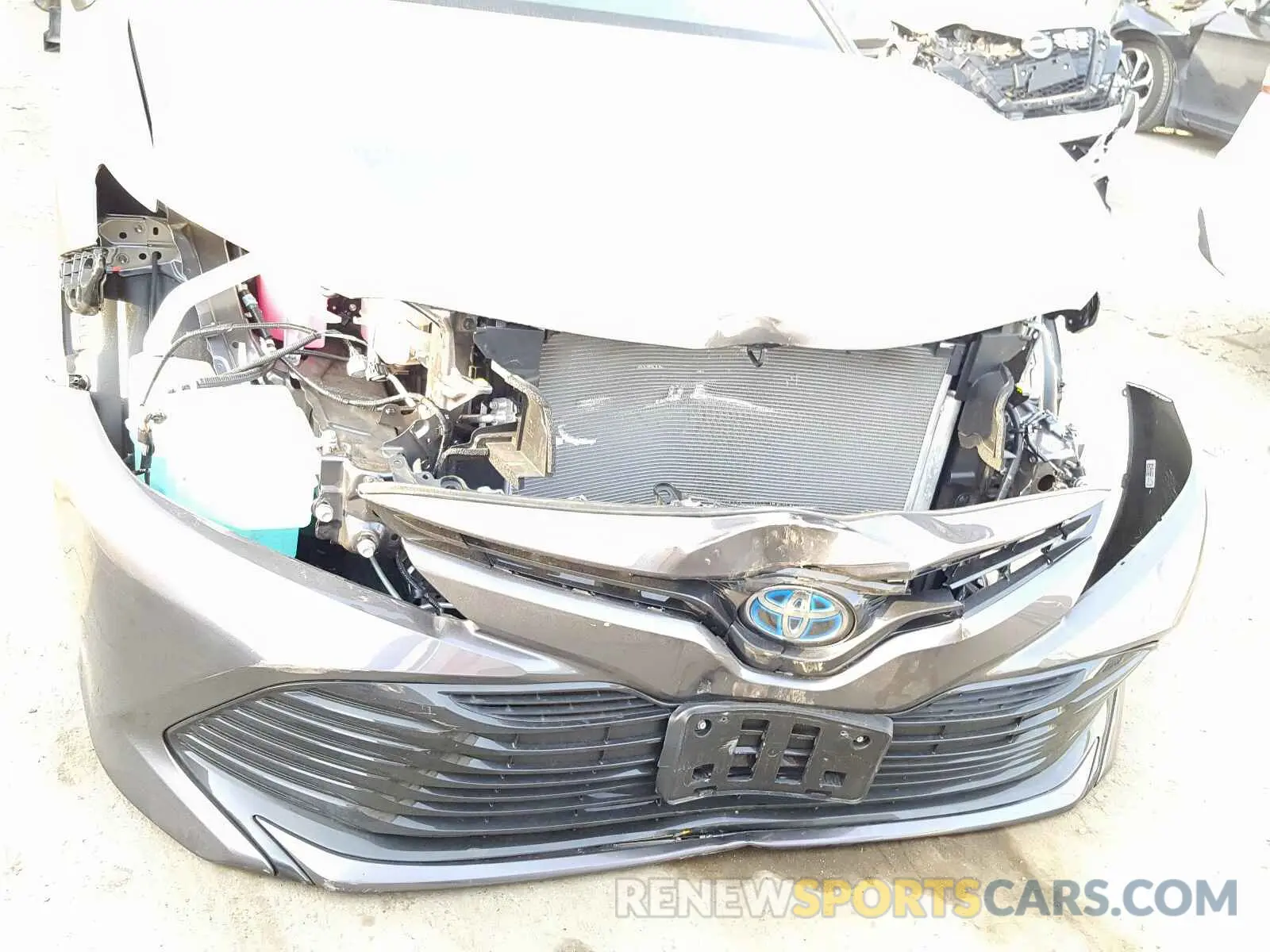 9 fotografías del automóvil dañado 4T1B31HK4KU006970 TOYOTA CAMRY 2019
