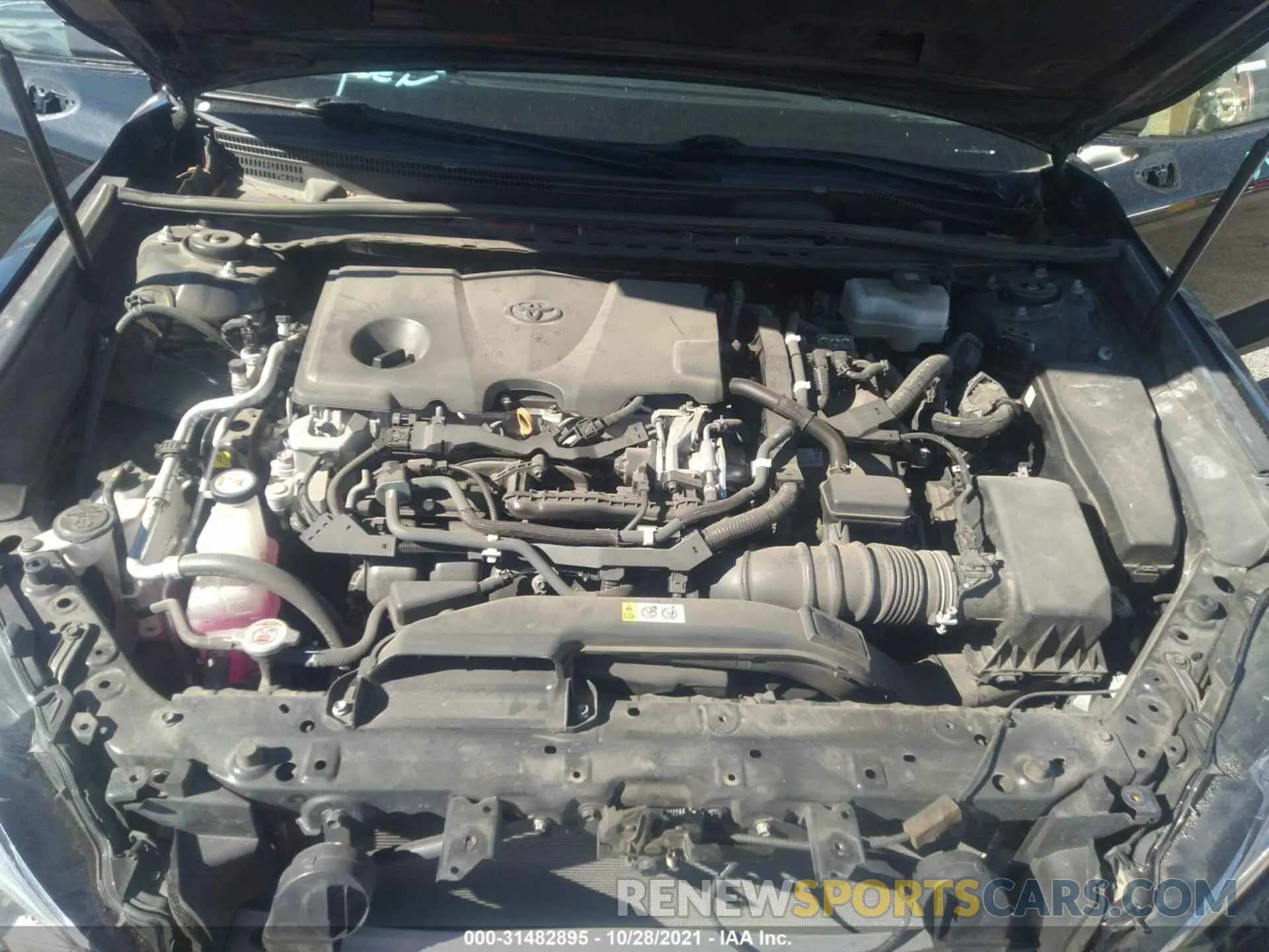 10 fotografías del automóvil dañado 4T1B31HK4KU513545 TOYOTA CAMRY 2019