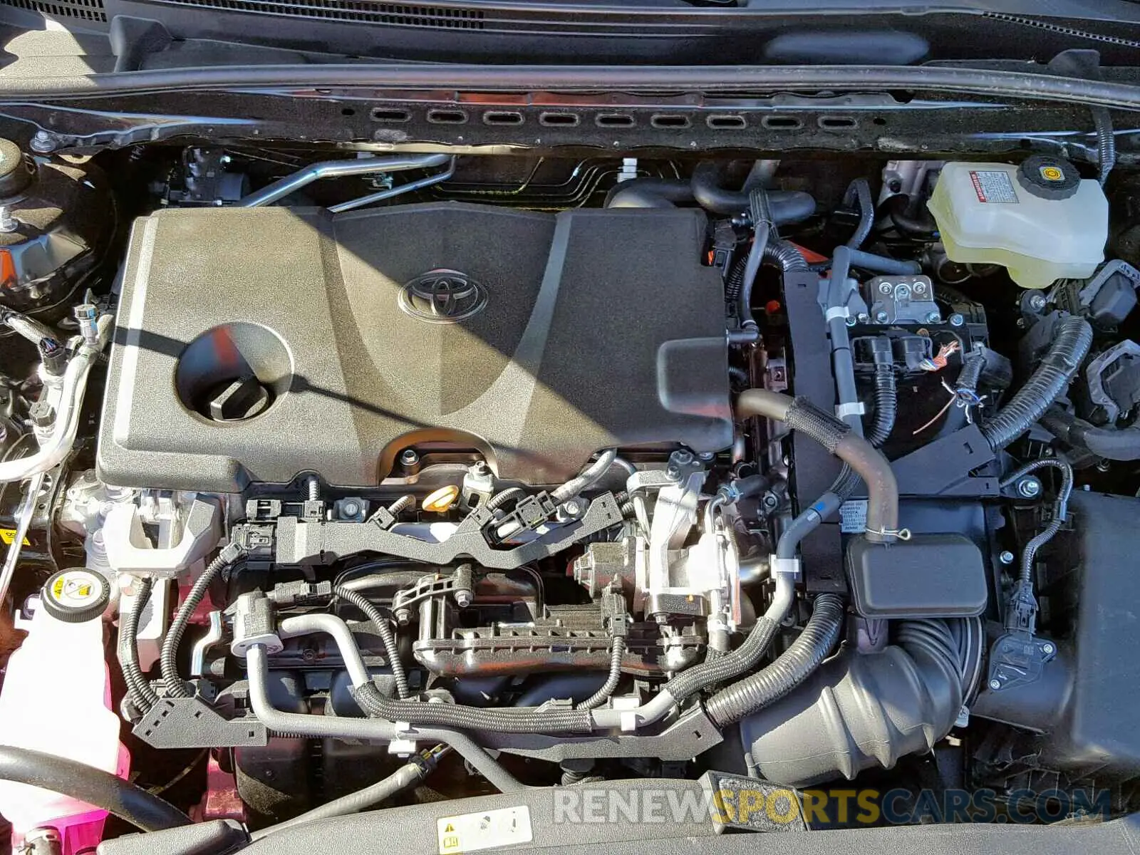 7 fotografías del automóvil dañado 4T1B31HK5KU511741 TOYOTA CAMRY 2019