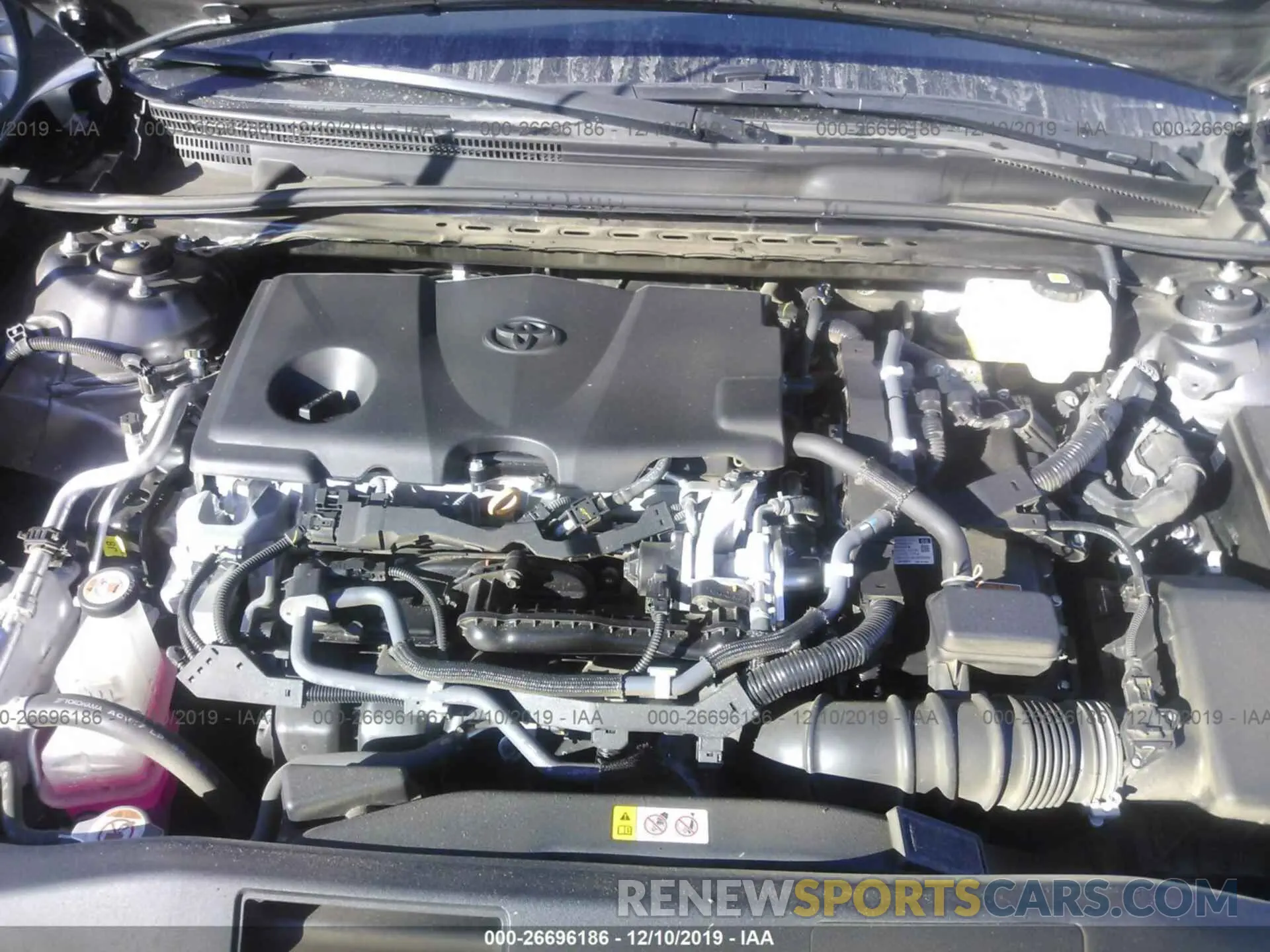 10 fotografías del automóvil dañado 4T1B31HK5KU512291 TOYOTA CAMRY 2019