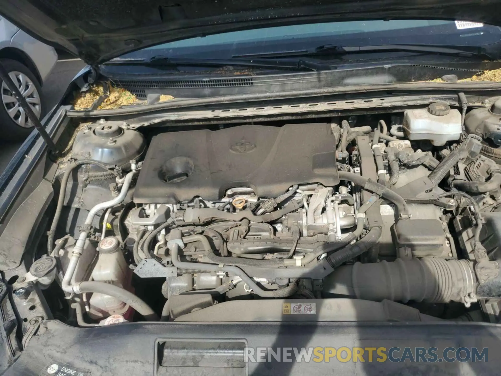 12 fotografías del automóvil dañado 4T1B31HK7KU007661 TOYOTA CAMRY 2019