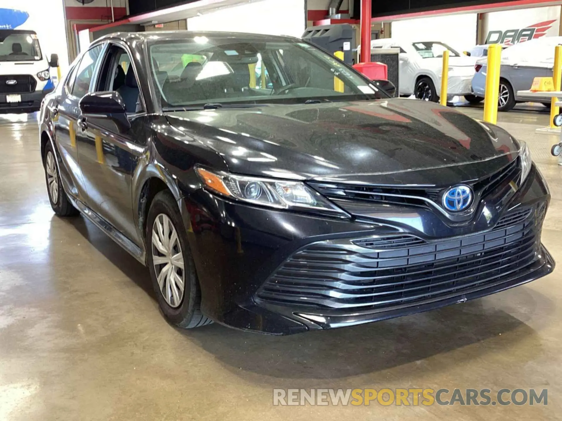 9 fotografías del automóvil dañado 4T1B31HK7KU511661 TOYOTA CAMRY 2019