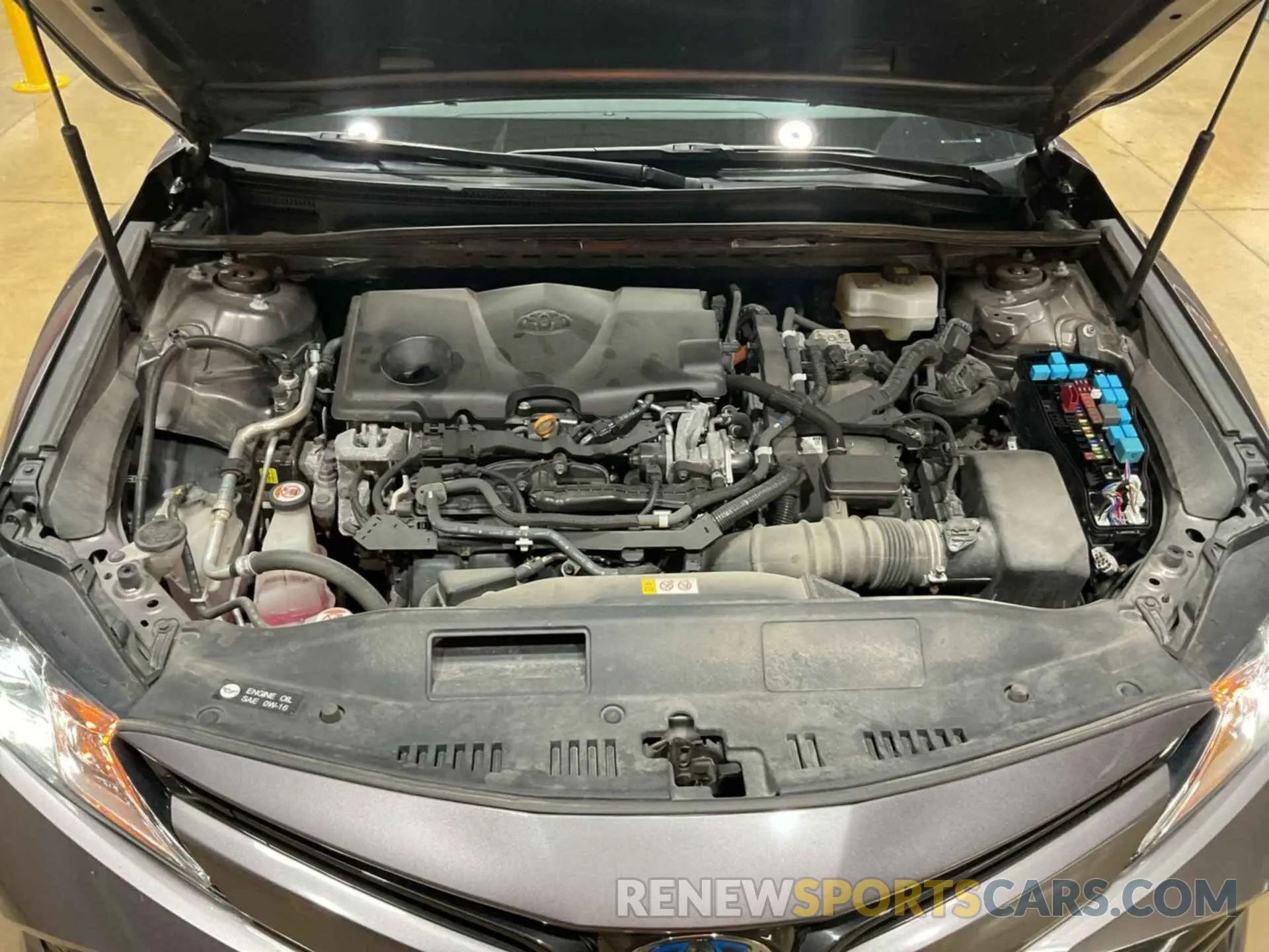 23 fotografías del automóvil dañado 4T1B31HK7KU511742 TOYOTA CAMRY 2019