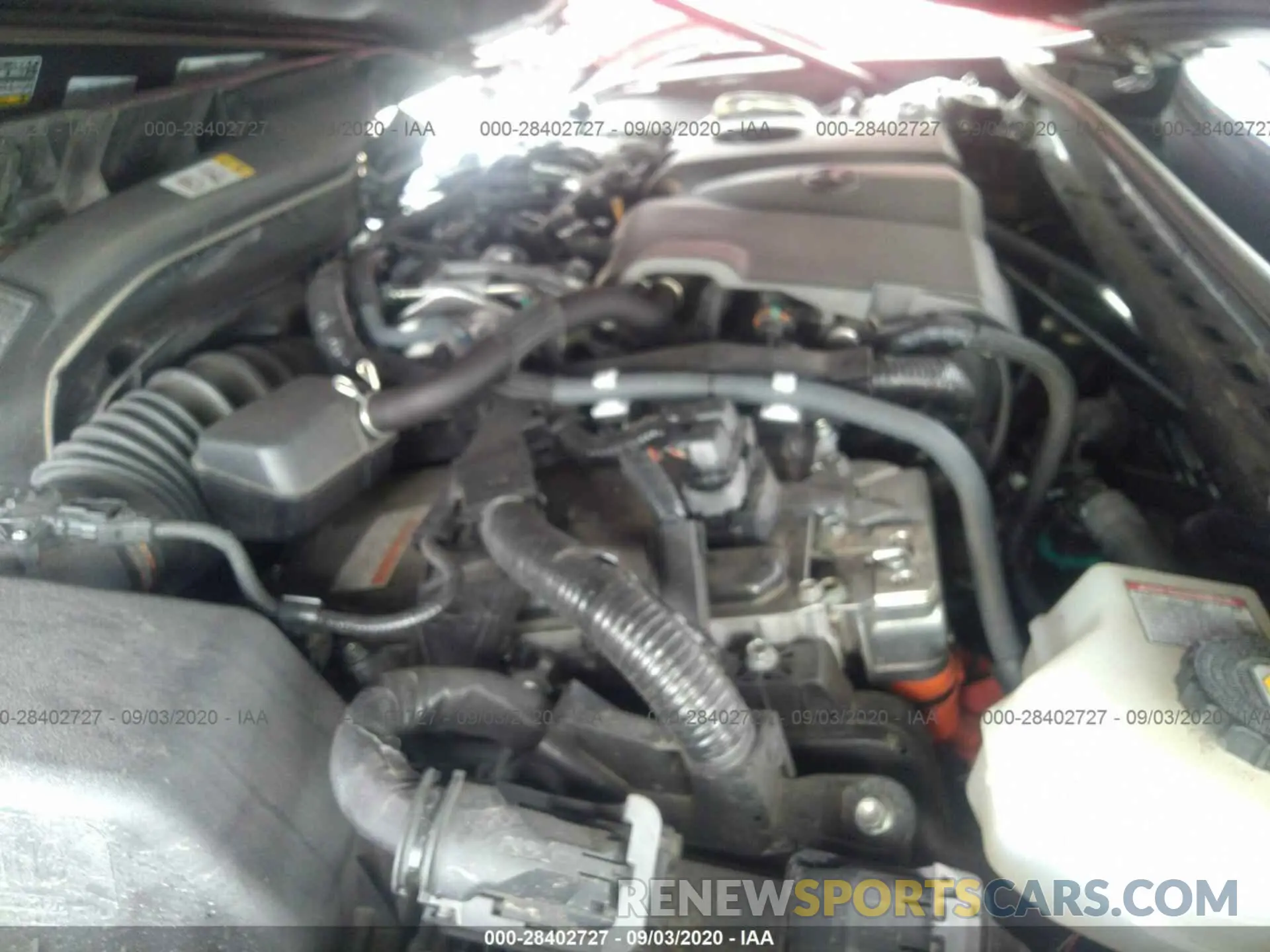 10 fotografías del automóvil dañado 4T1B31HK8KU007779 TOYOTA CAMRY 2019