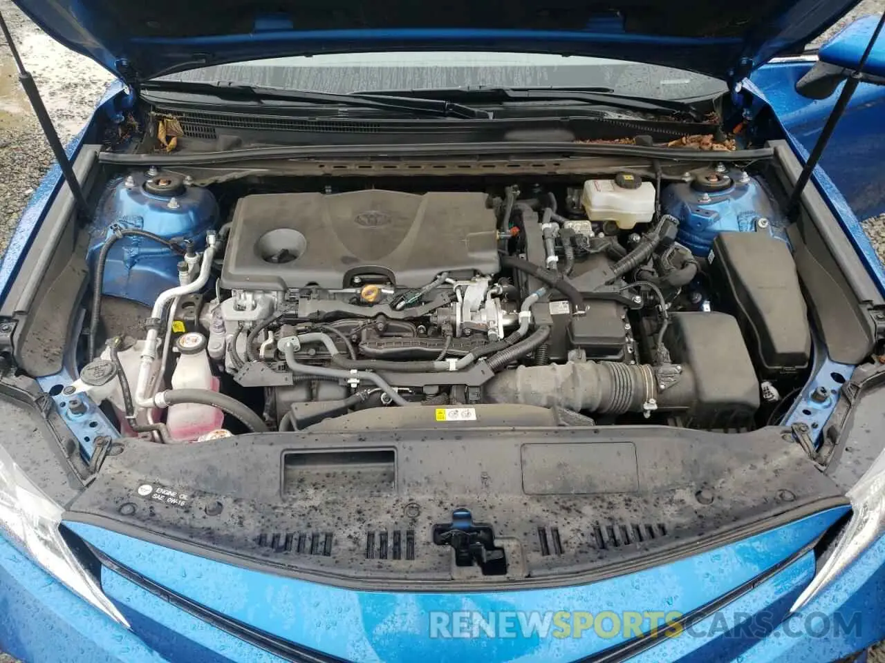 11 fotografías del automóvil dañado 4T1B31HK8KU008253 TOYOTA CAMRY 2019