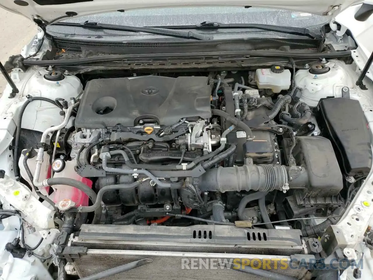 11 fotografías del automóvil dañado 4T1B31HK8KU515637 TOYOTA CAMRY 2019