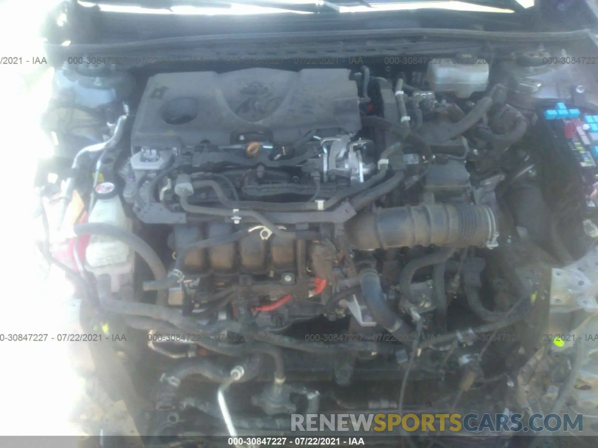 10 fotografías del automóvil dañado 4T1B31HK9KU007399 TOYOTA CAMRY 2019