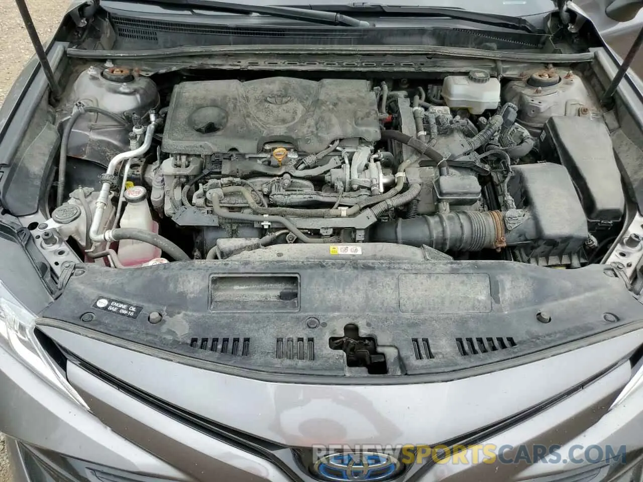11 fotografías del automóvil dañado 4T1B31HK9KU509670 TOYOTA CAMRY 2019