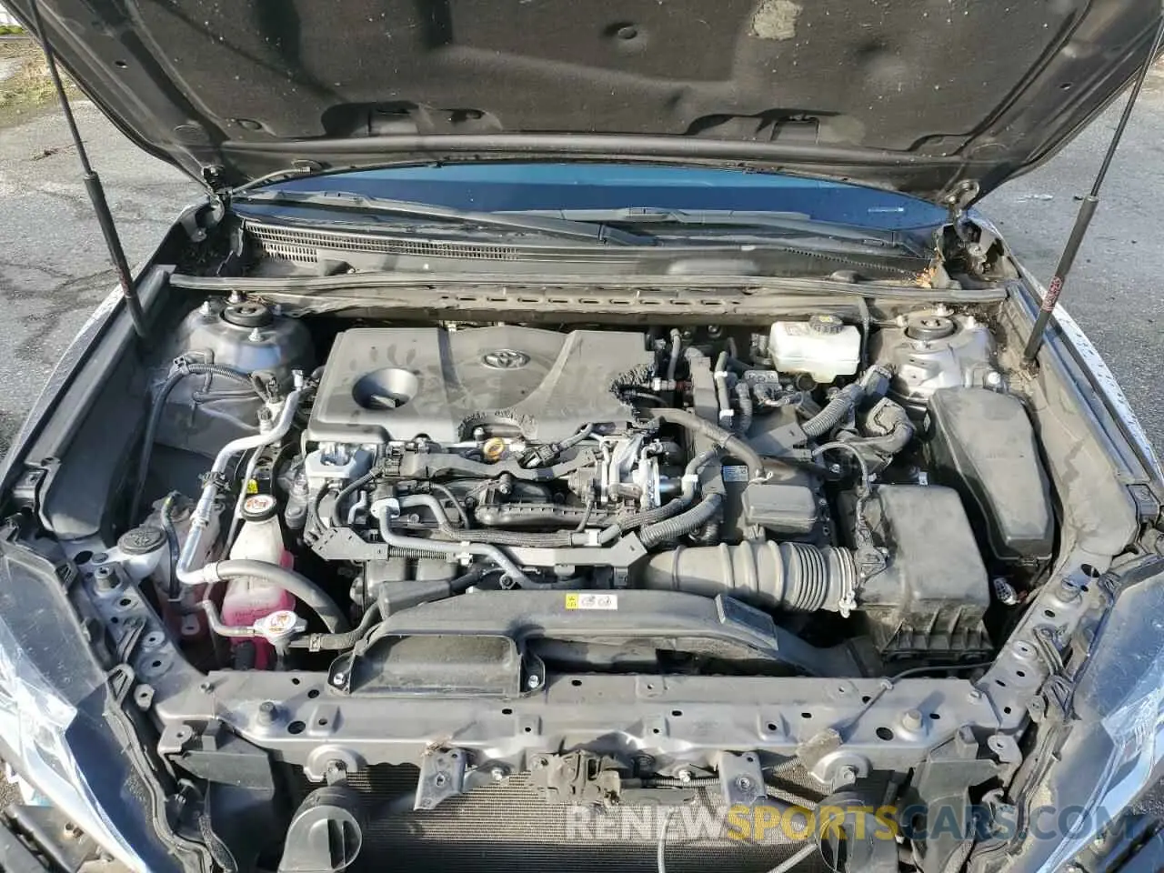 11 fotografías del automóvil dañado 4T1B31HK9KU513282 TOYOTA CAMRY 2019