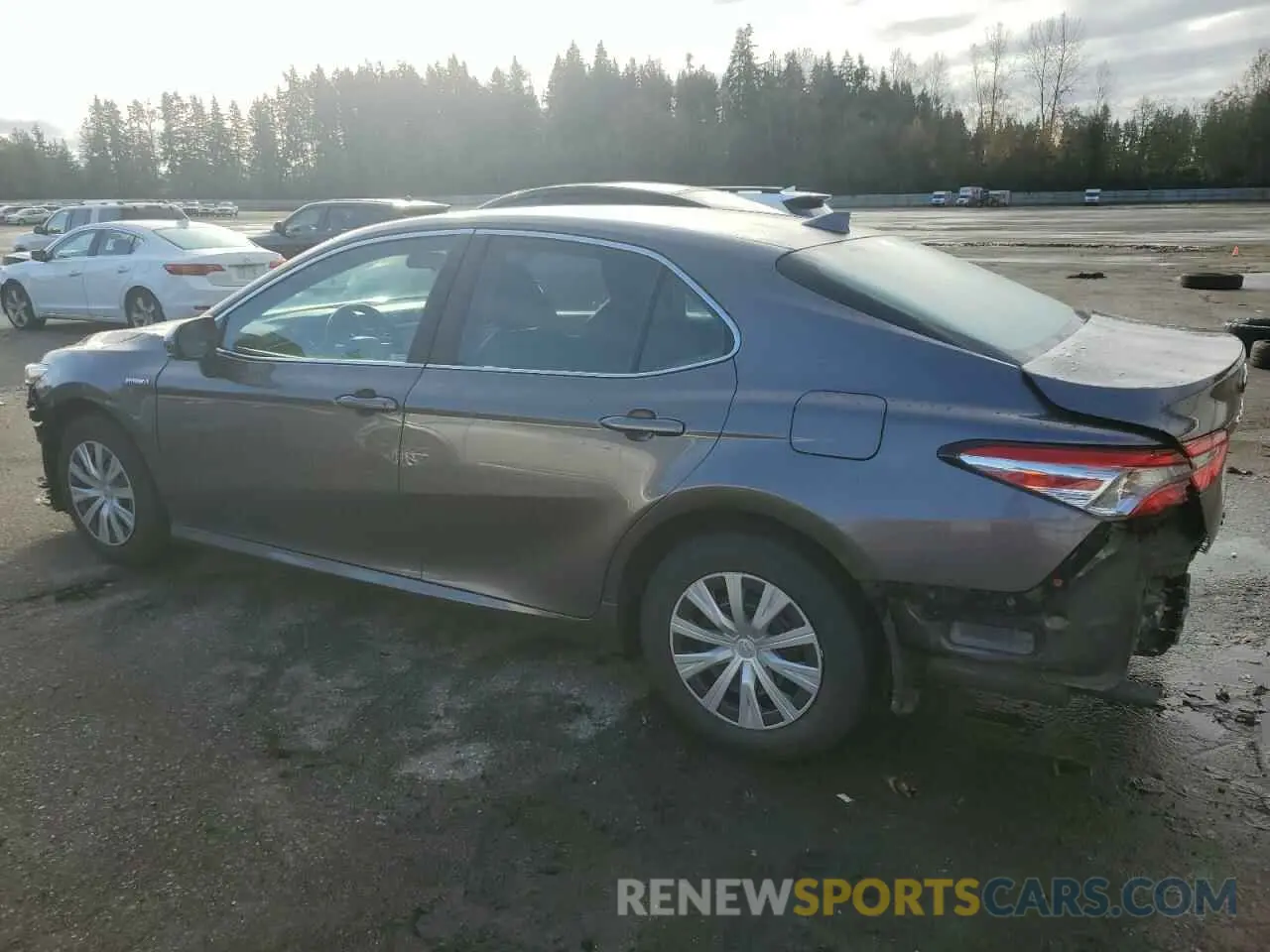 2 fotografías del automóvil dañado 4T1B31HK9KU513282 TOYOTA CAMRY 2019