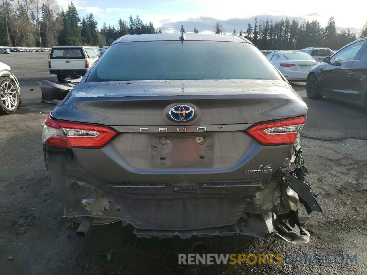 6 fotografías del automóvil dañado 4T1B31HK9KU513282 TOYOTA CAMRY 2019