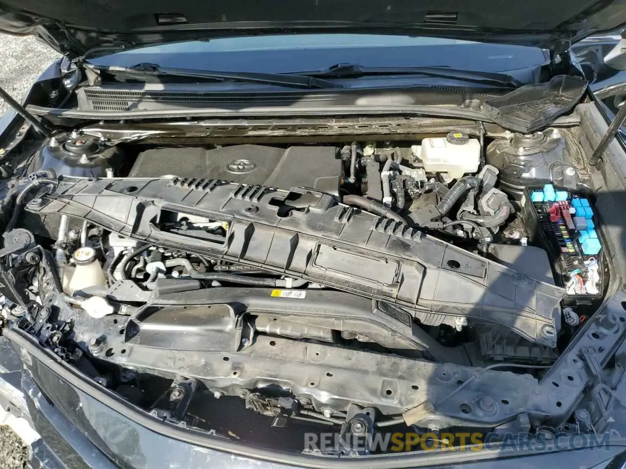 11 fotografías del automóvil dañado 4T1B31HK9KU516943 TOYOTA CAMRY 2019