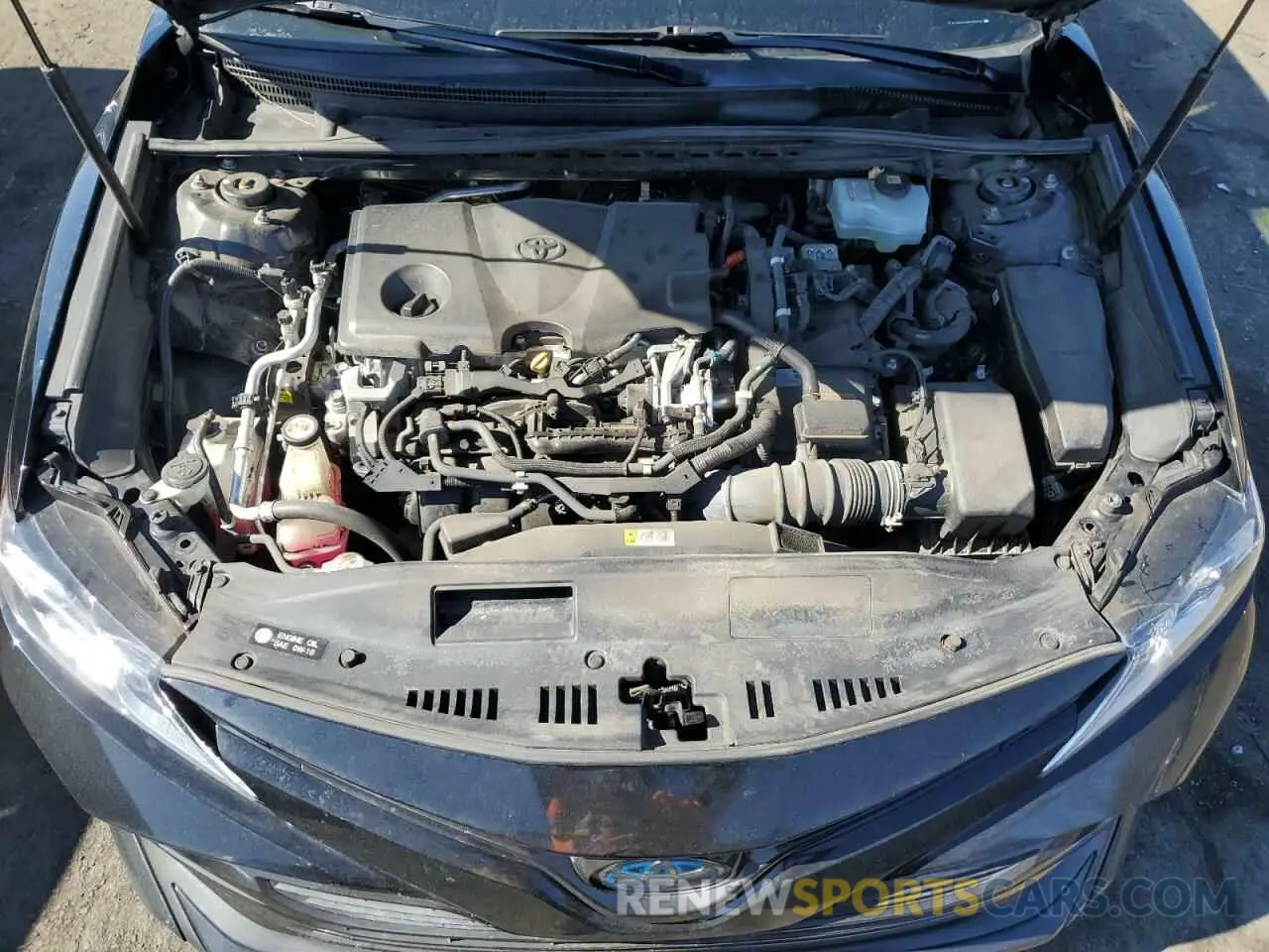 11 fotografías del automóvil dañado 4T1B31HKXKU509337 TOYOTA CAMRY 2019