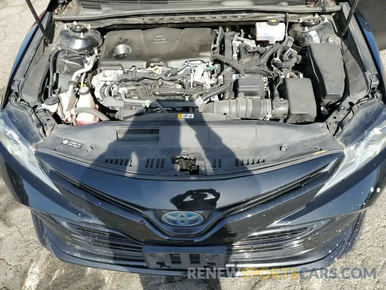 13 fotografías del automóvil dañado 4T1B31HKXKU510469 TOYOTA CAMRY 2019