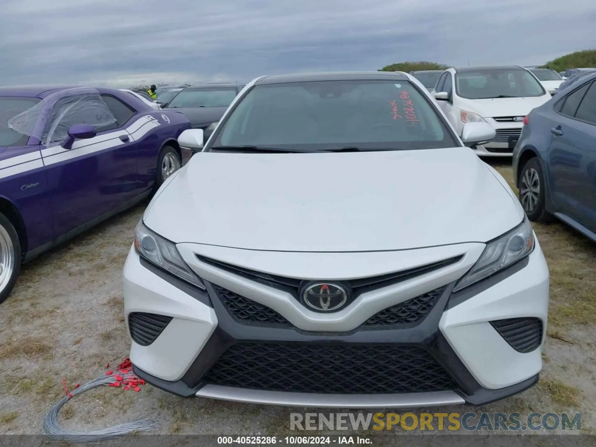 12 fotografías del automóvil dañado 4T1B61HK0KU703236 TOYOTA CAMRY 2019