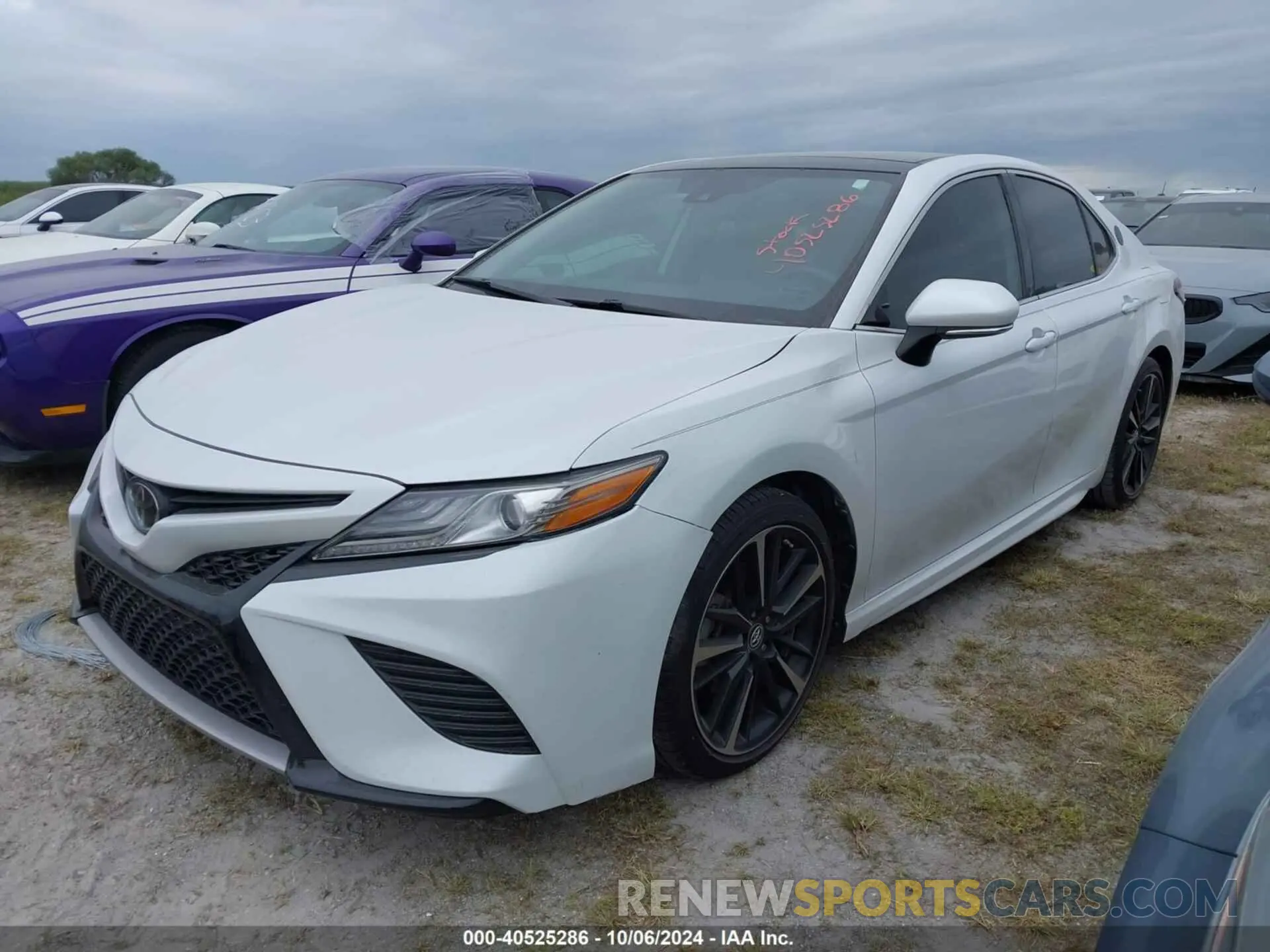 2 fotografías del automóvil dañado 4T1B61HK0KU703236 TOYOTA CAMRY 2019