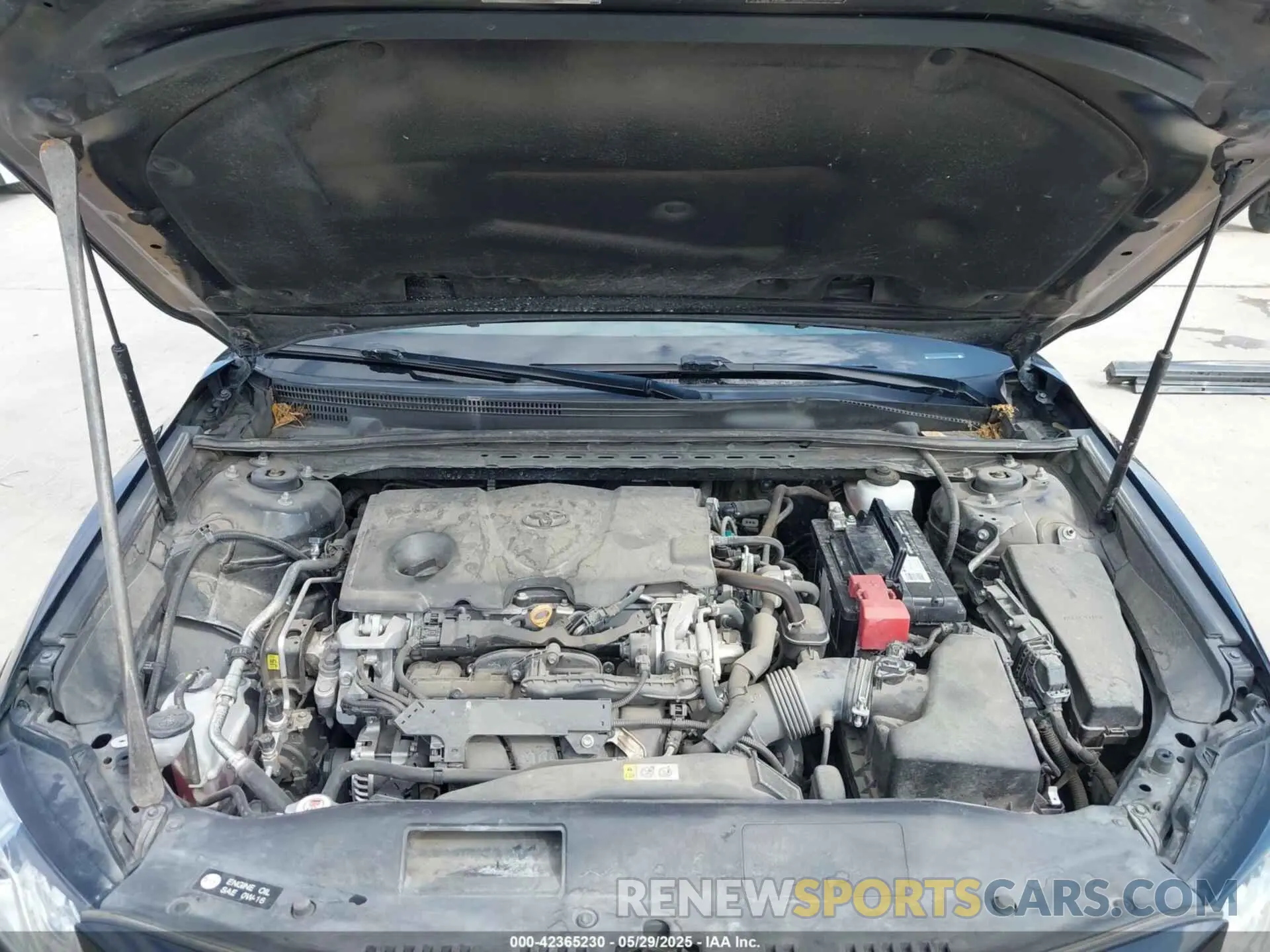 10 fotografías del automóvil dañado 4T1B61HK0KU766899 TOYOTA CAMRY 2019