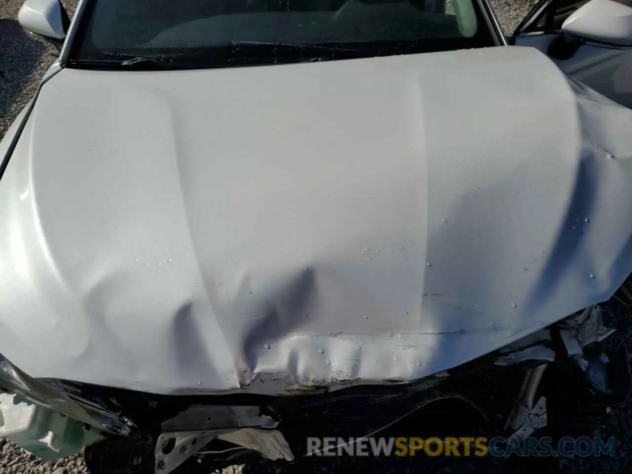 11 fotografías del automóvil dañado 4T1B61HK0KU842718 TOYOTA CAMRY 2019