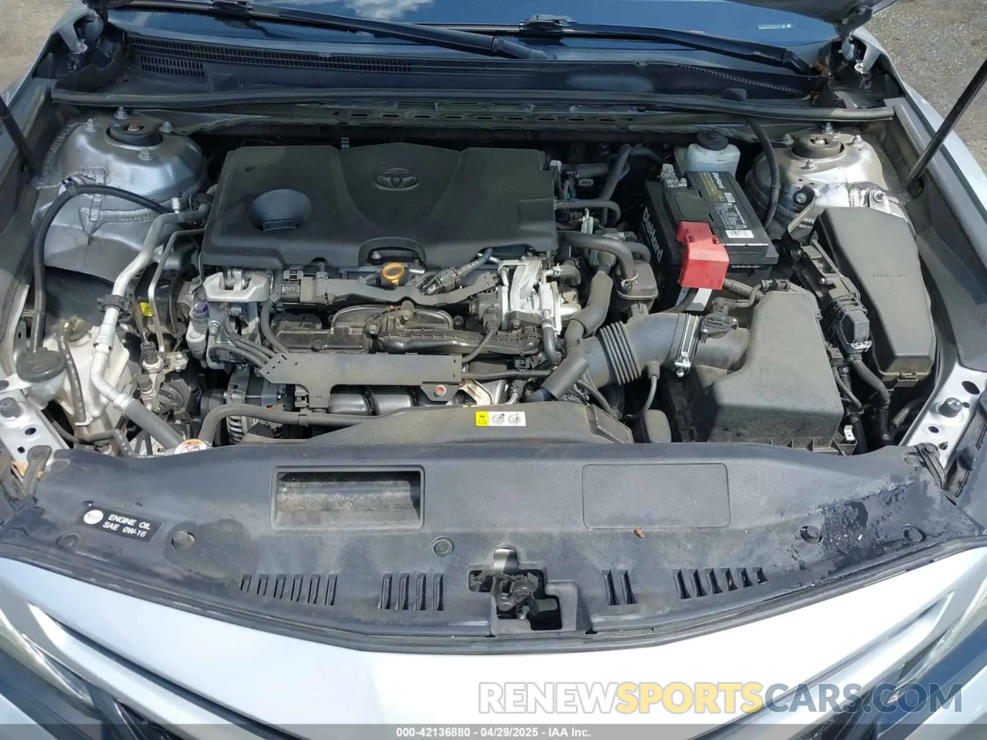 10 fotografías del automóvil dañado 4T1B61HK1KU292185 TOYOTA CAMRY 2019