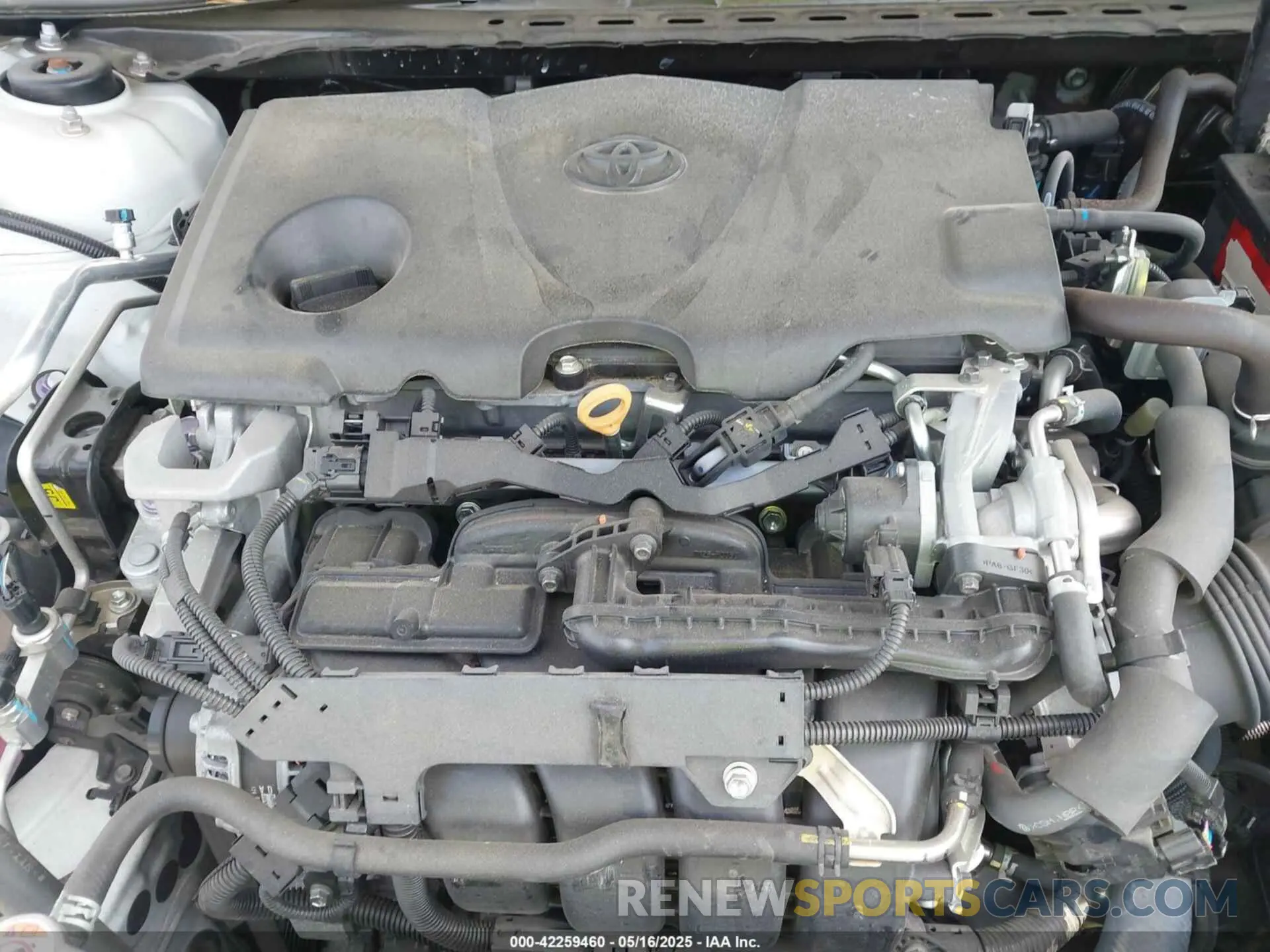 10 fotografías del automóvil dañado 4T1B61HK3KU693477 TOYOTA CAMRY 2019