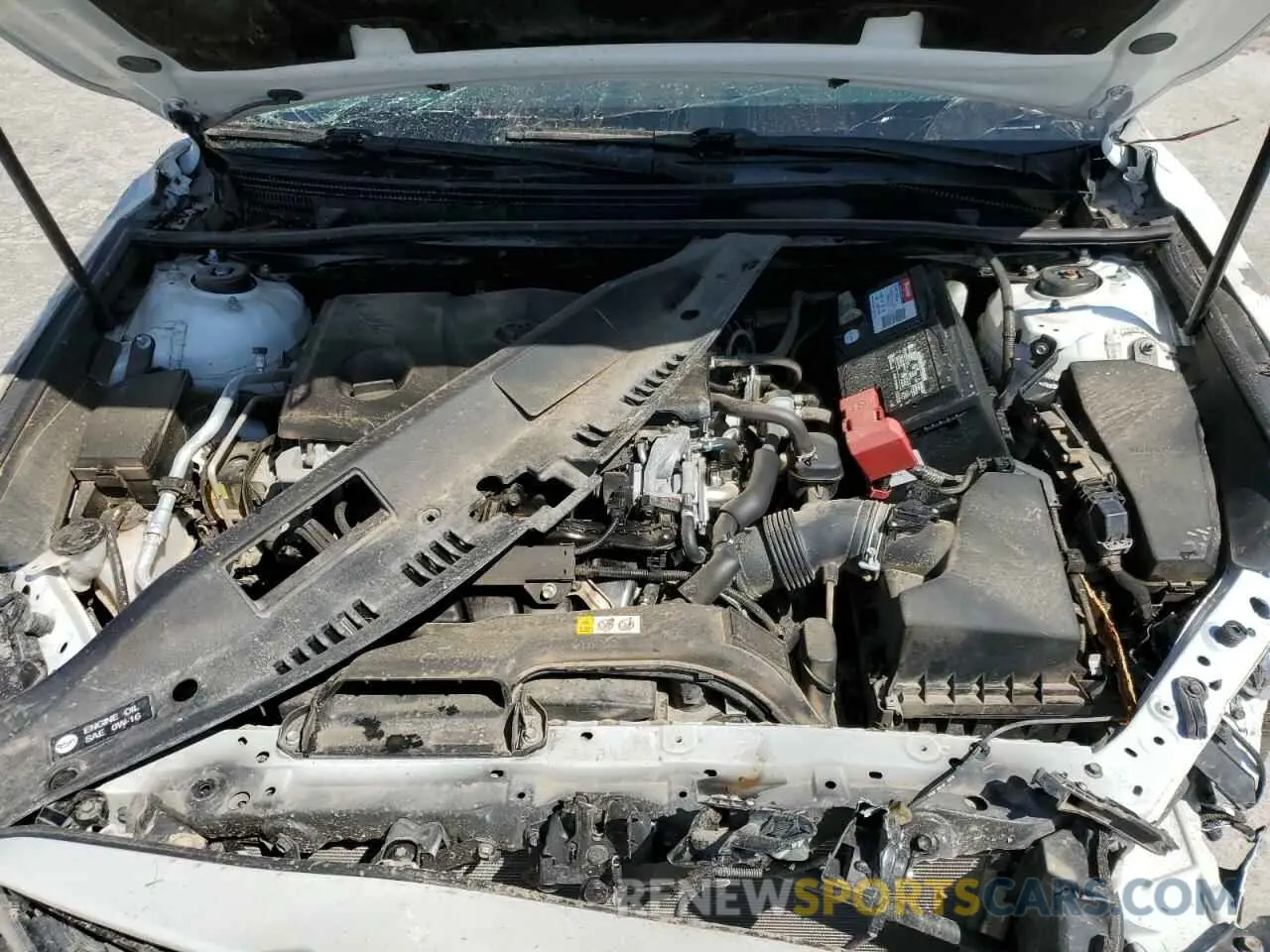 12 fotografías del automóvil dañado 4T1B61HK4KU188984 TOYOTA CAMRY 2019
