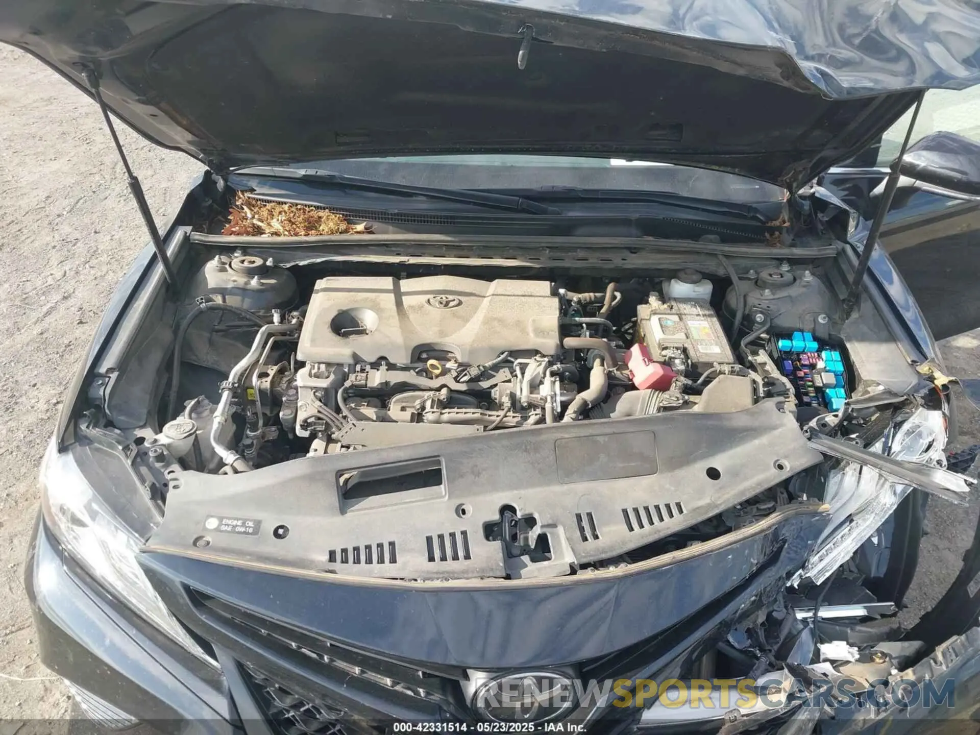 10 fotografías del automóvil dañado 4T1B61HK5KU821119 TOYOTA CAMRY 2019