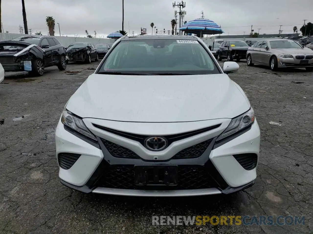 5 fotografías del automóvil dañado 4T1B61HK5KU839264 TOYOTA CAMRY 2019