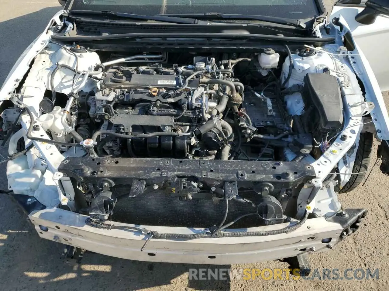 11 fotografías del automóvil dañado 4T1B61HK7KU224750 TOYOTA CAMRY 2019