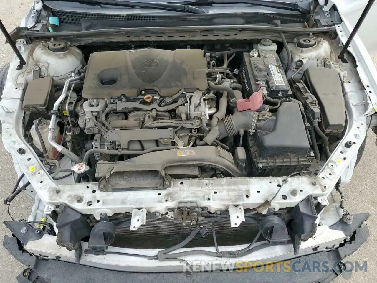 12 fotografías del automóvil dañado 4T1B61HKXKU292136 TOYOTA CAMRY 2019